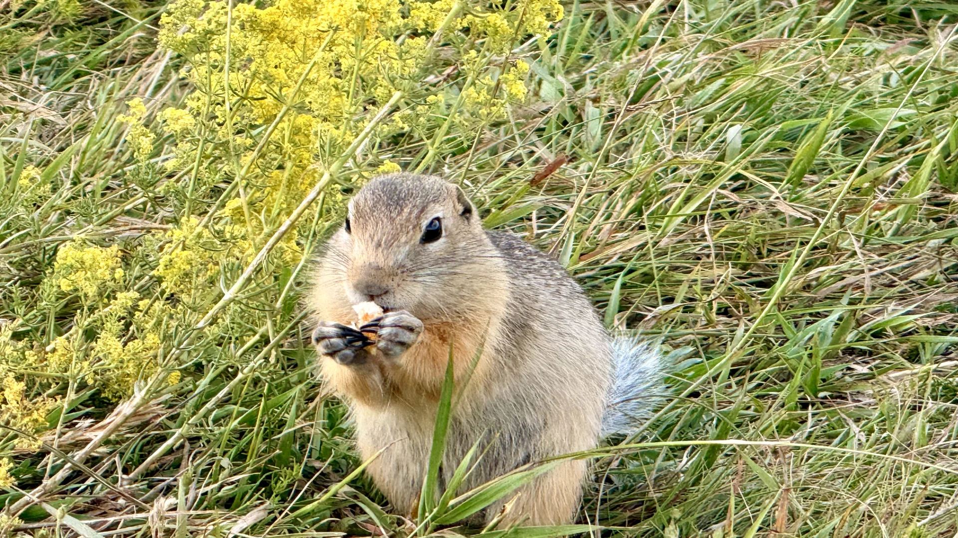 赛里木湖真的要成为我这一生的执念了