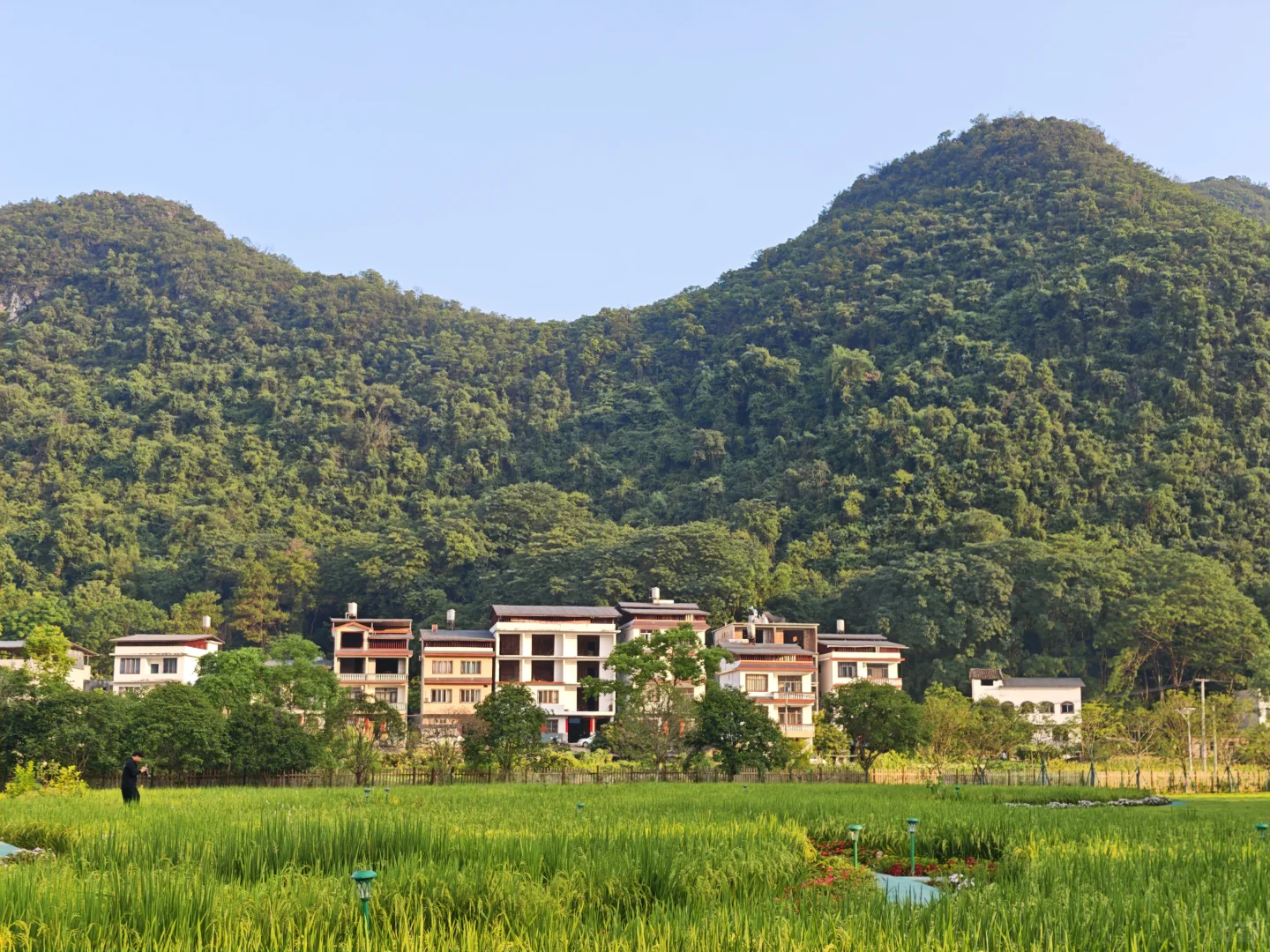 我超会做攻略之桂林阳朔0踩雷4天3晚自由行