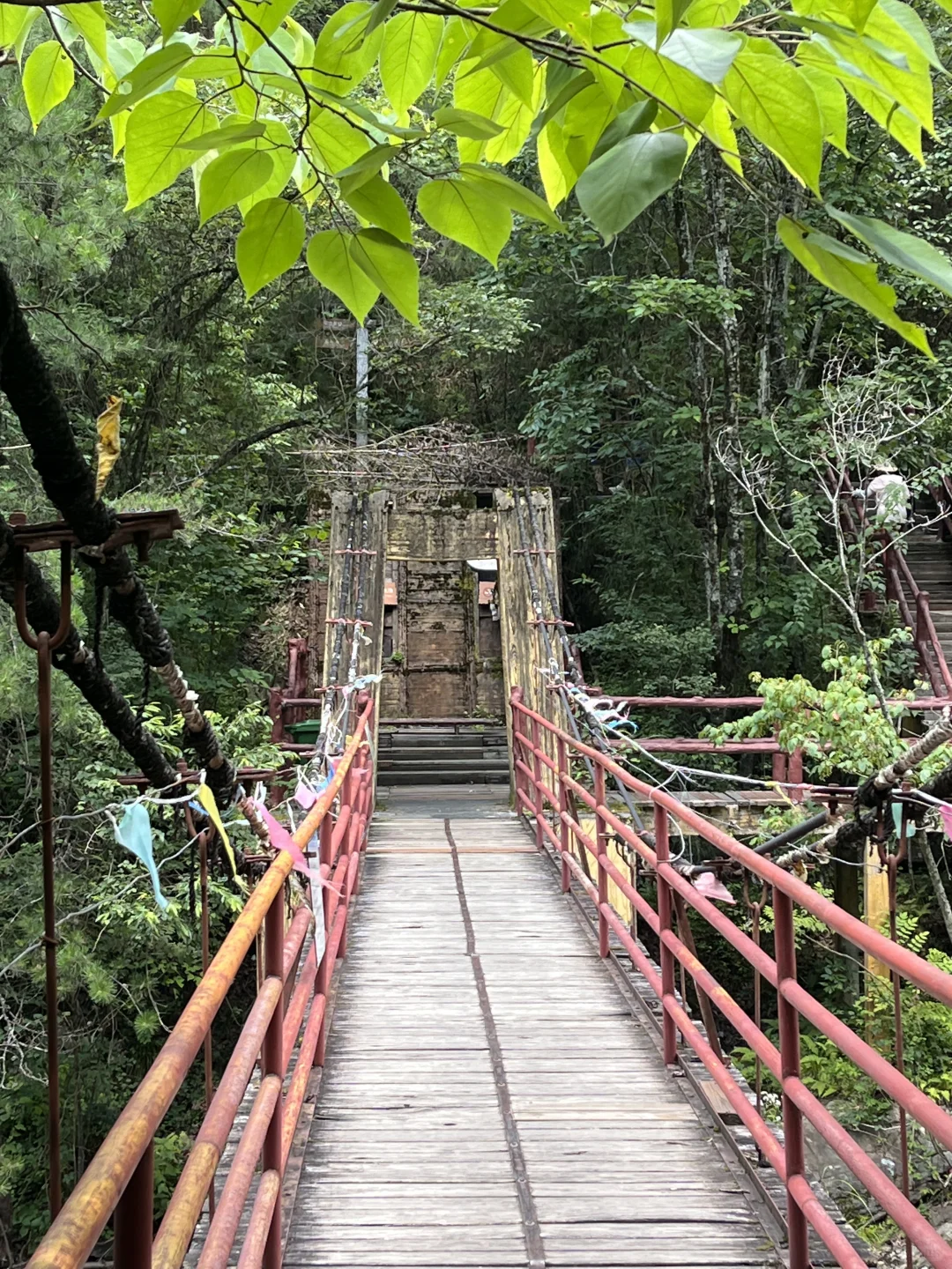 秦岭深处的夏日童话|大箭沟