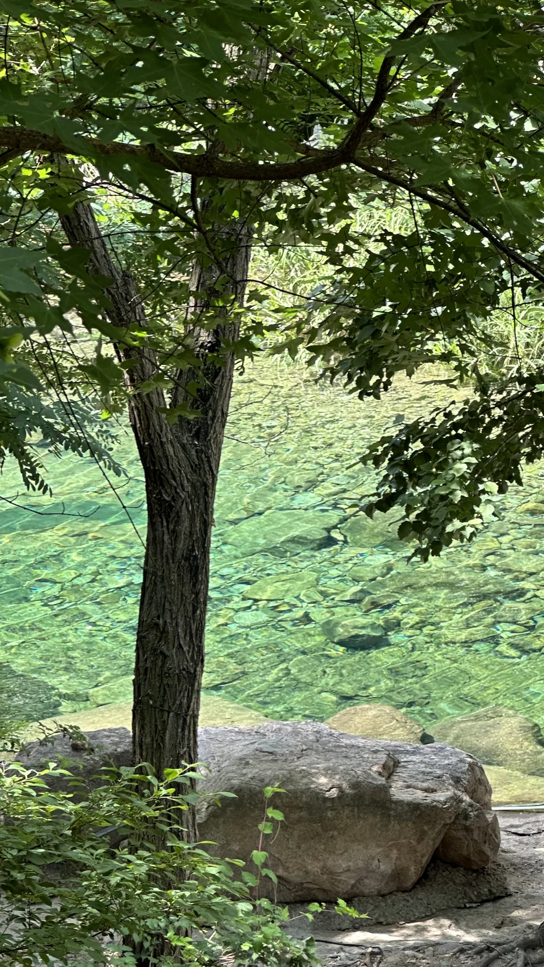 青岛夏天崂山玩水(无痛版)