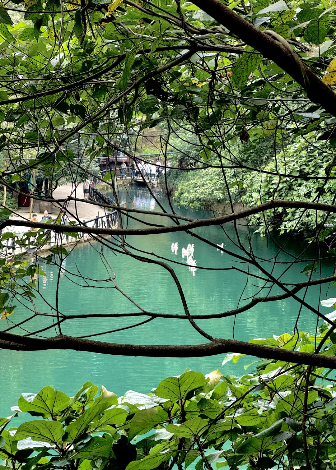 小小笔架山｜不就是人间仙境