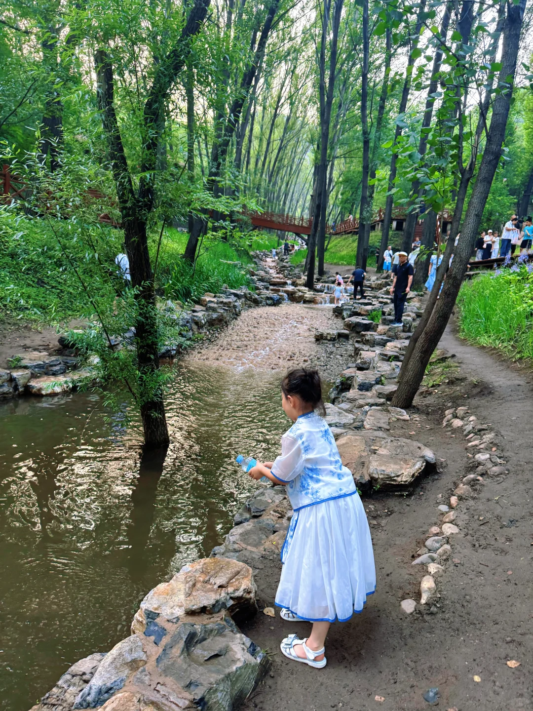 这么热的天，夜游蒙山避暑圣地，遛娃玩水绝啦