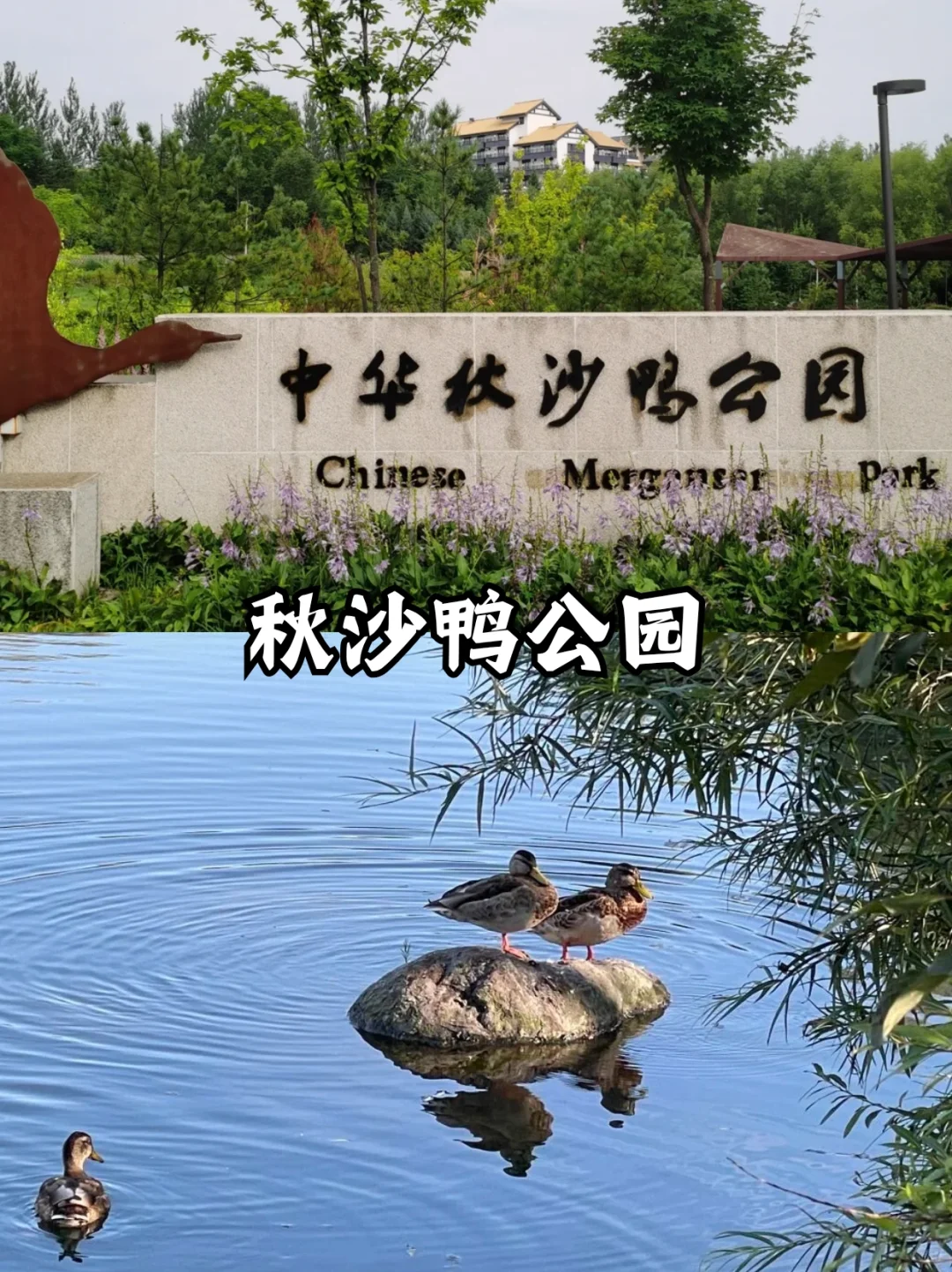 长白山二道白河镇游玩攻略！第一次来必看