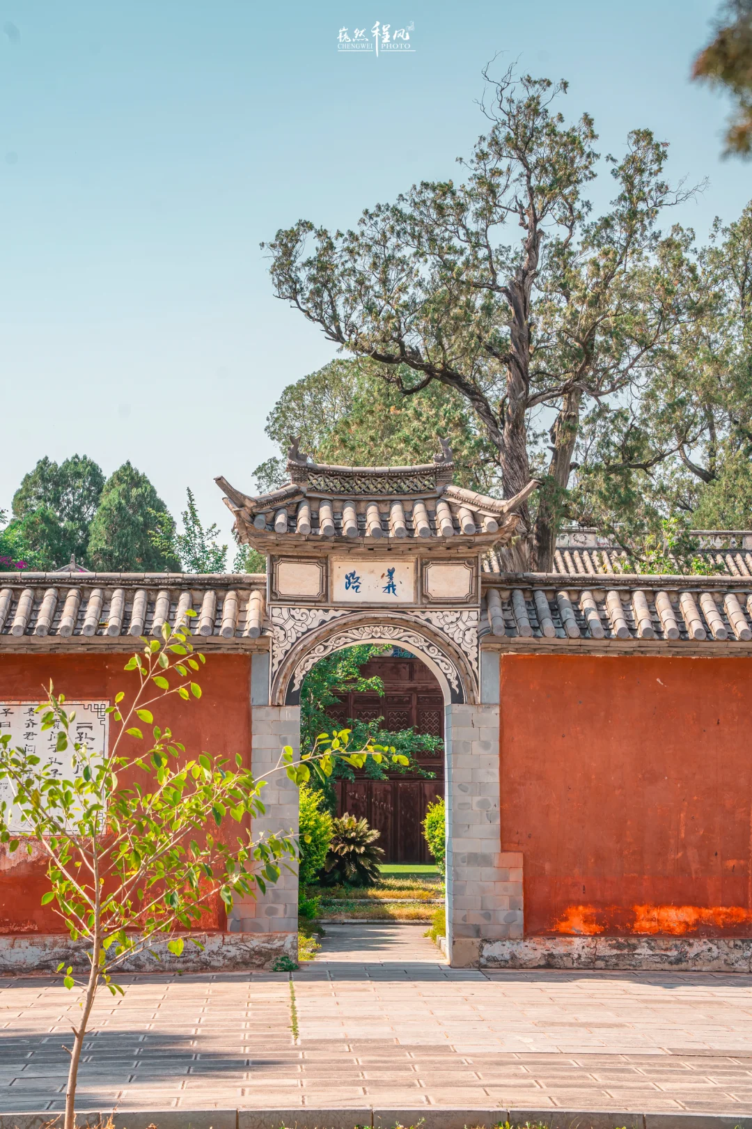 巍山古城 | 蓝花楹盛开下的百年文庙