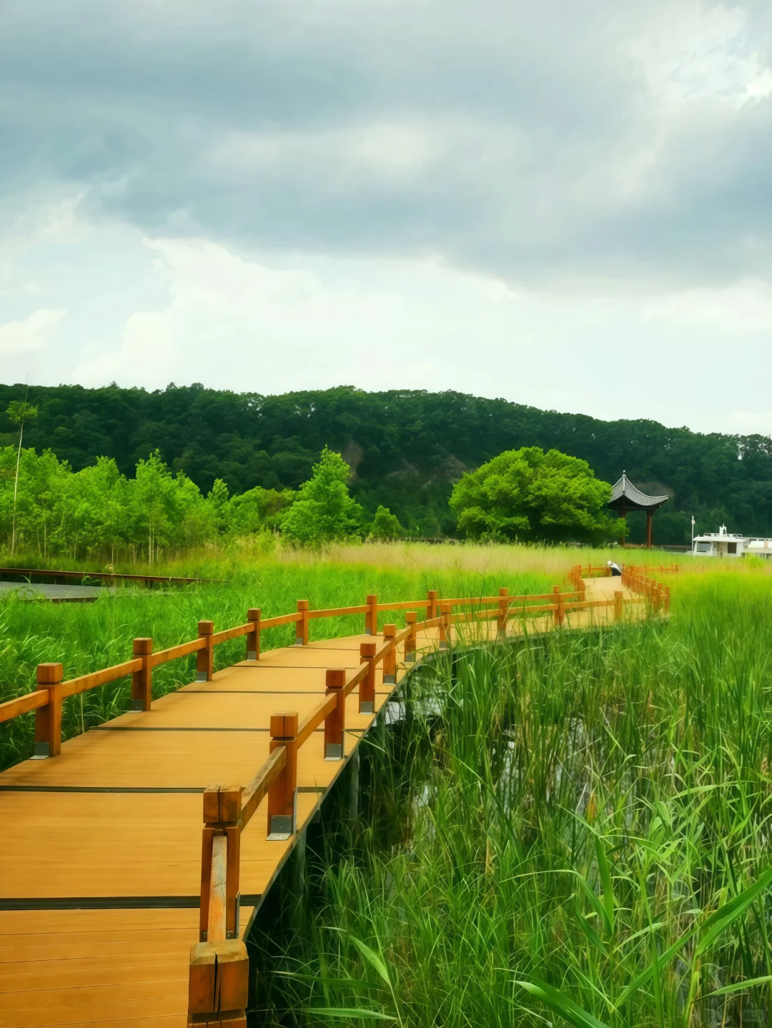 龙湾群景区旅游指南｜听劝‼️避暑胜地必冲
