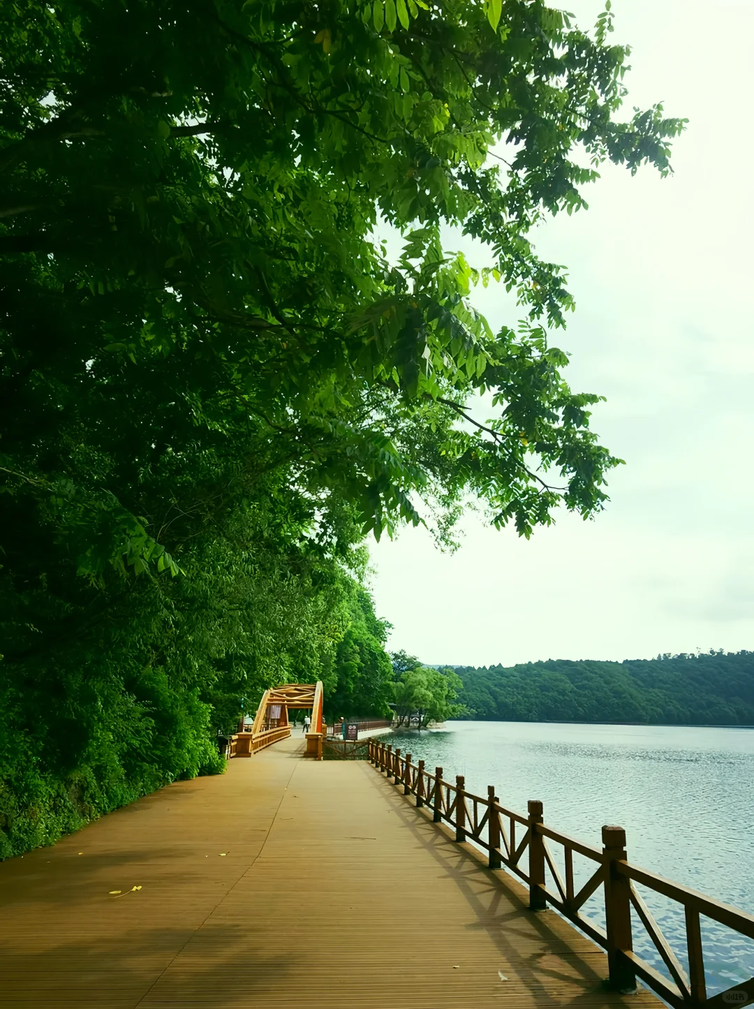 龙湾群景区旅游指南｜听劝‼️避暑胜地必冲