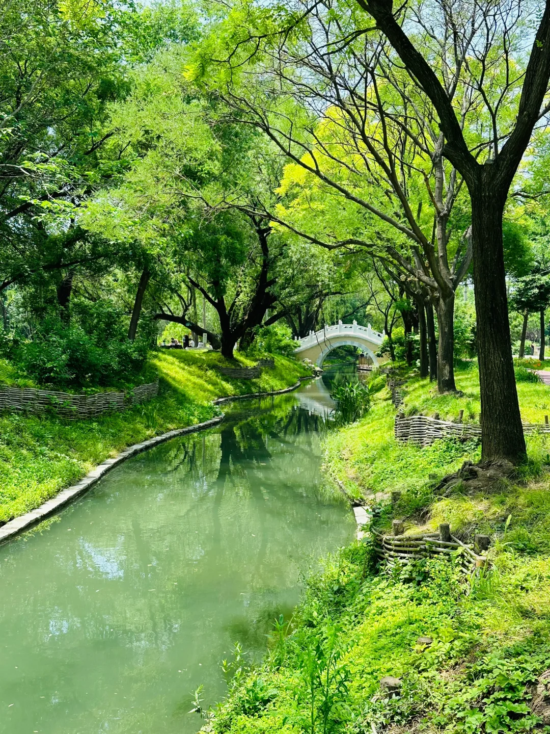 在北京！夏日绿野仙踪CityWalk路线！附攻略