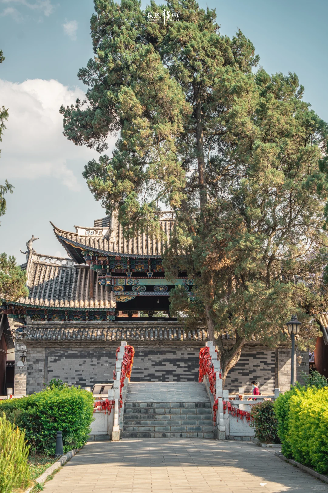 巍山古城 | 蓝花楹盛开下的百年文庙