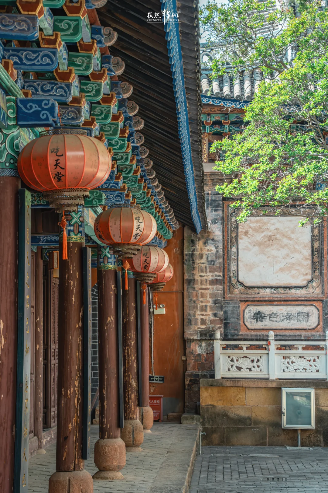 巍山古城 | 蓝花楹盛开下的百年文庙