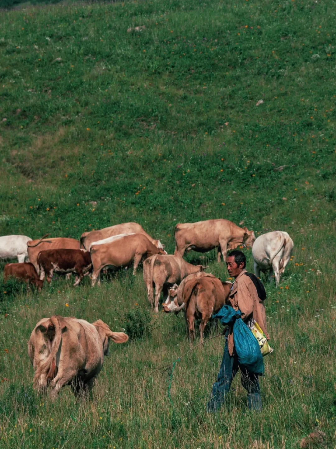 夏天的山西，是一个巨大的空调房