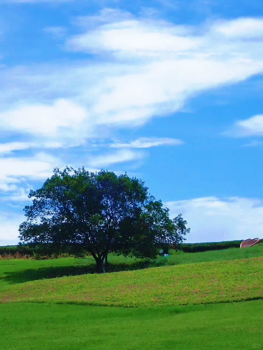 不是冰岛‼是江苏被严重低估的宝藏小城