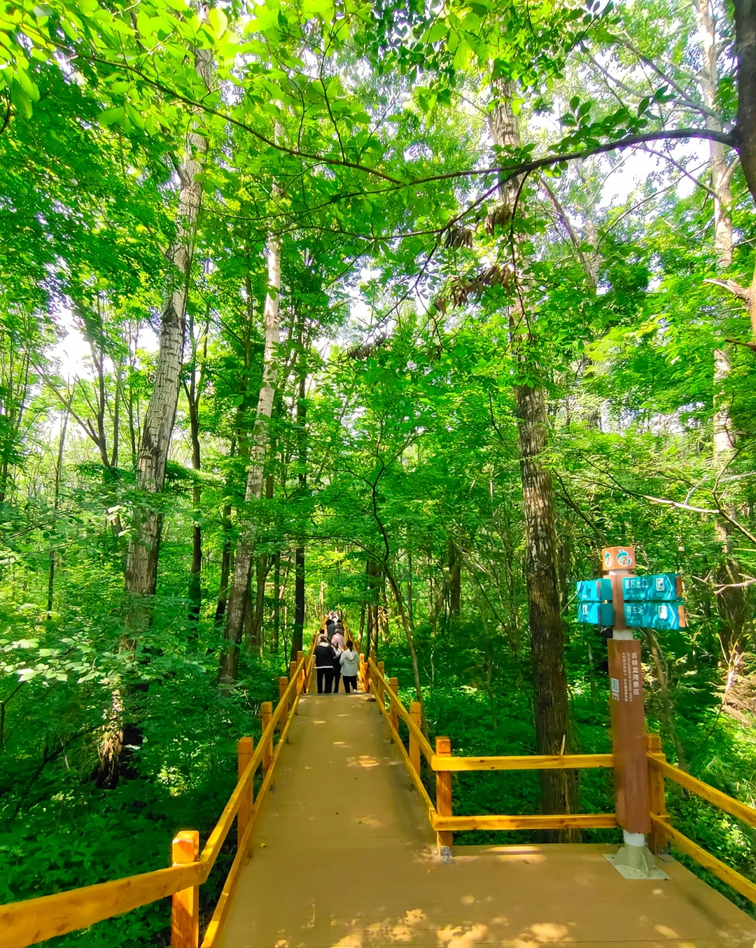 龙湾群景区旅游指南｜听劝‼️避暑胜地必冲