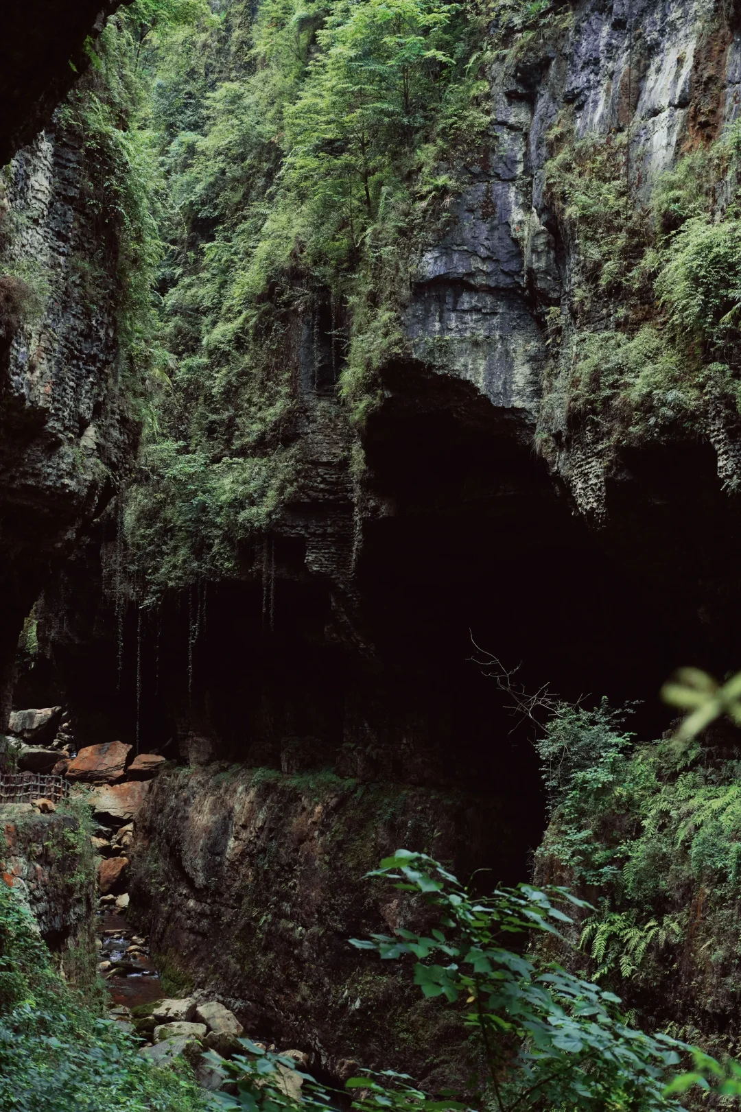 恩施很美,但是我不会再去了🫠