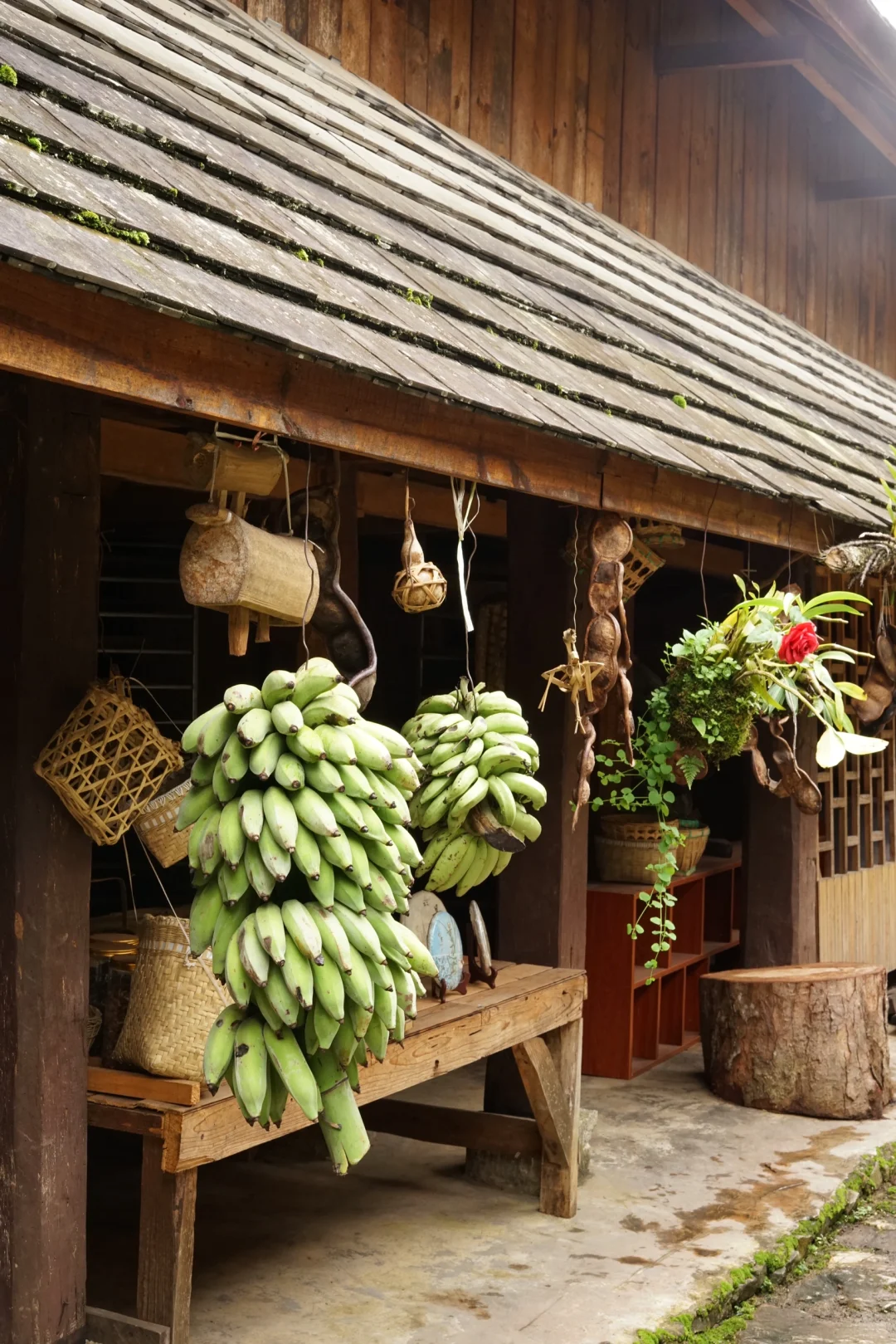 旅行|景迈山|被森林环绕的乌托邦