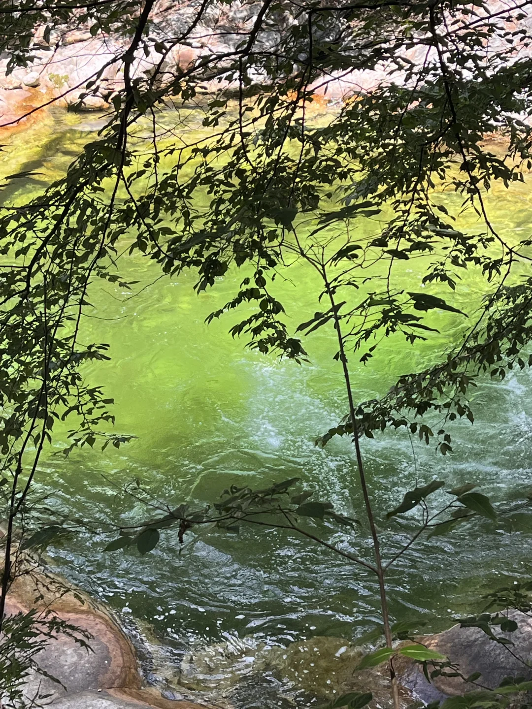 秦岭深处的夏日童话|大箭沟
