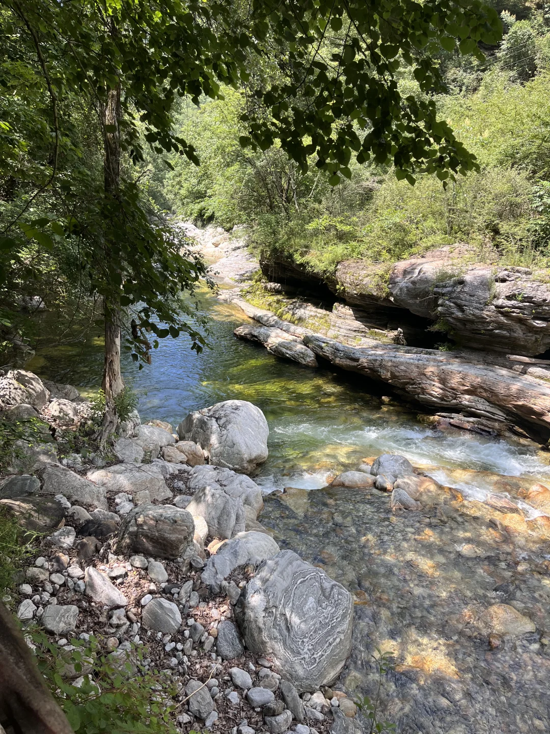 秦岭深处的夏日童话|大箭沟