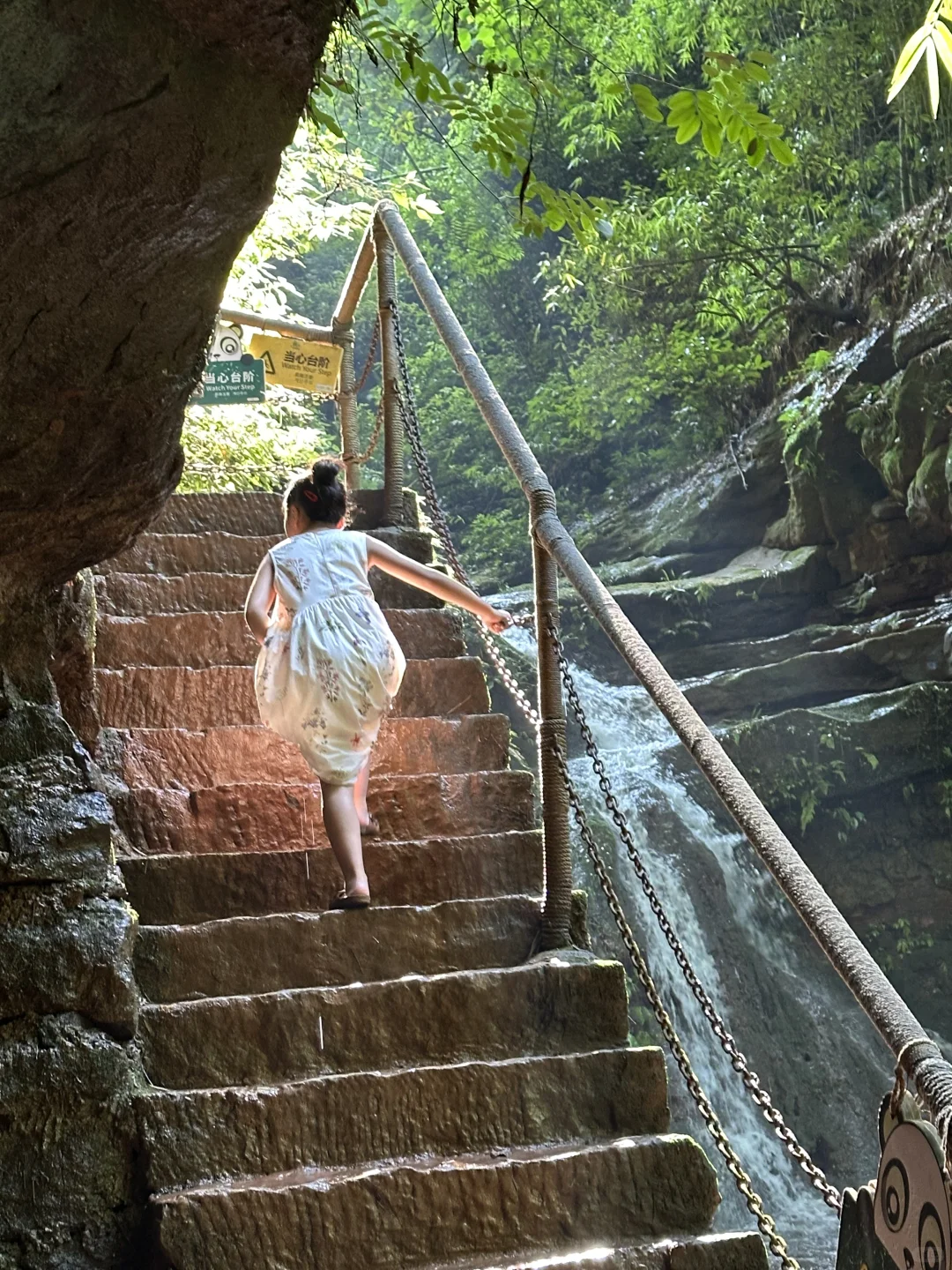 💨成都1h，带狗撒欢玩水的竹海秘境！