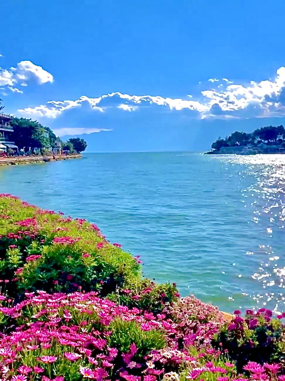 📍7-8月川西简直太美了！live图直出