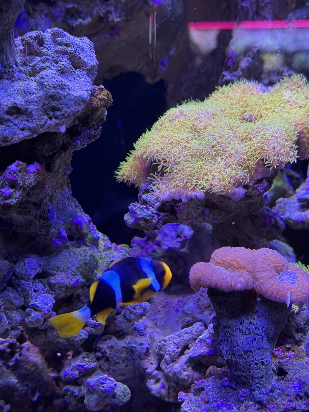 带娃旅游| 又点亮了一个城市🏙️