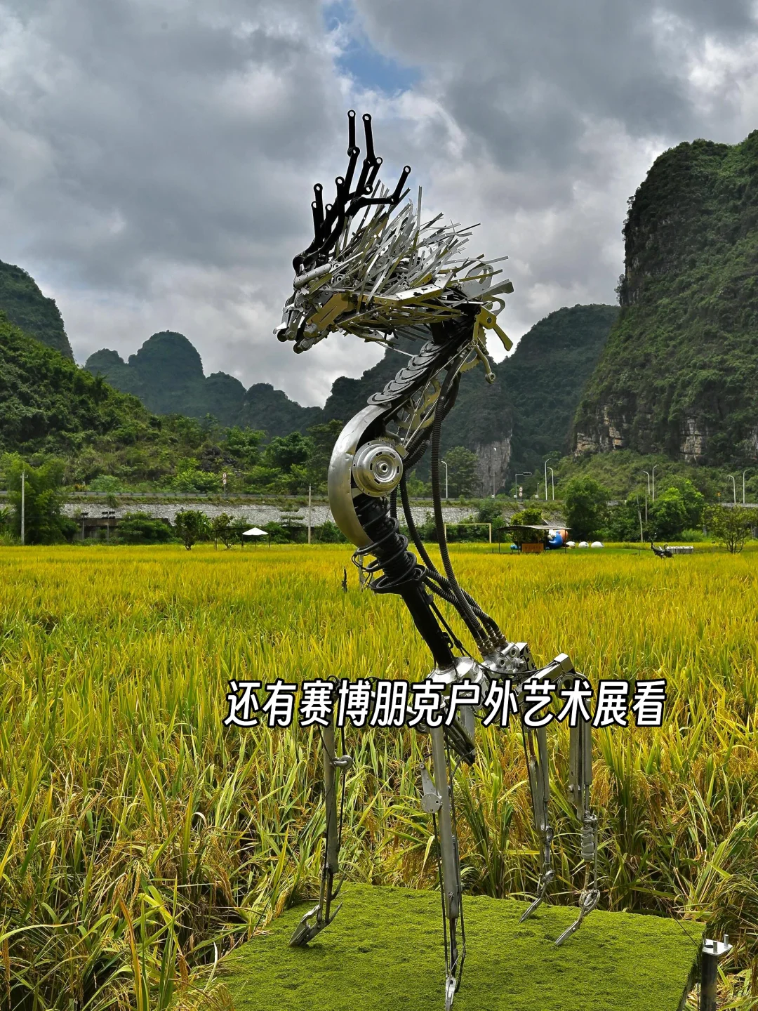 以为桂林已经够美了,直到我带娃来了崇左❗️