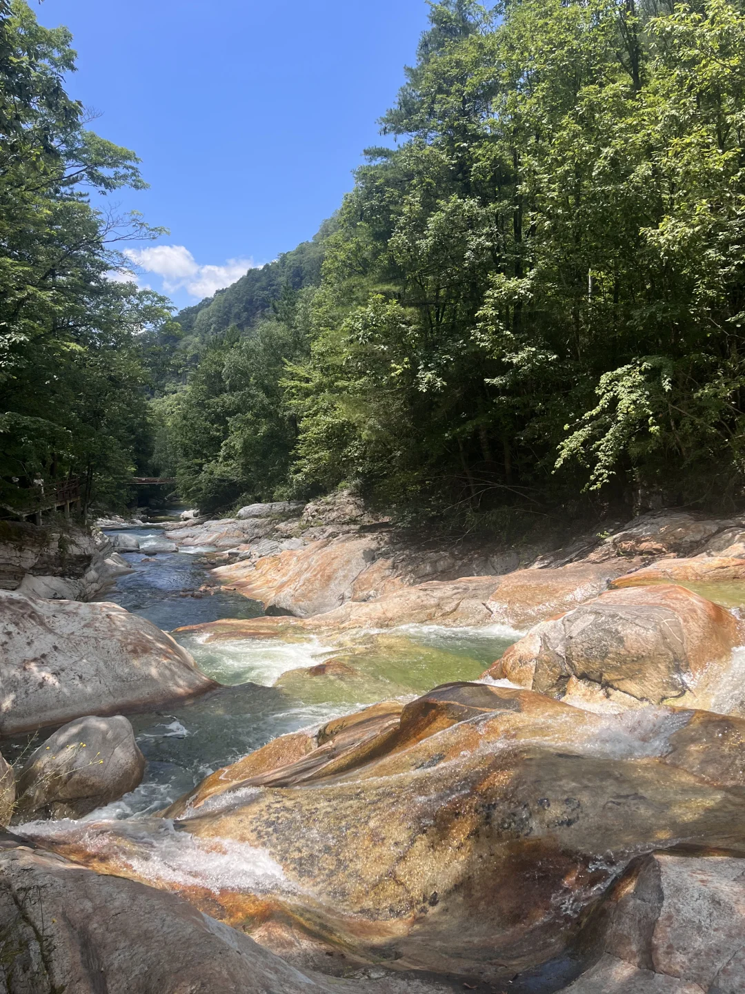 秦岭深处的夏日童话|大箭沟