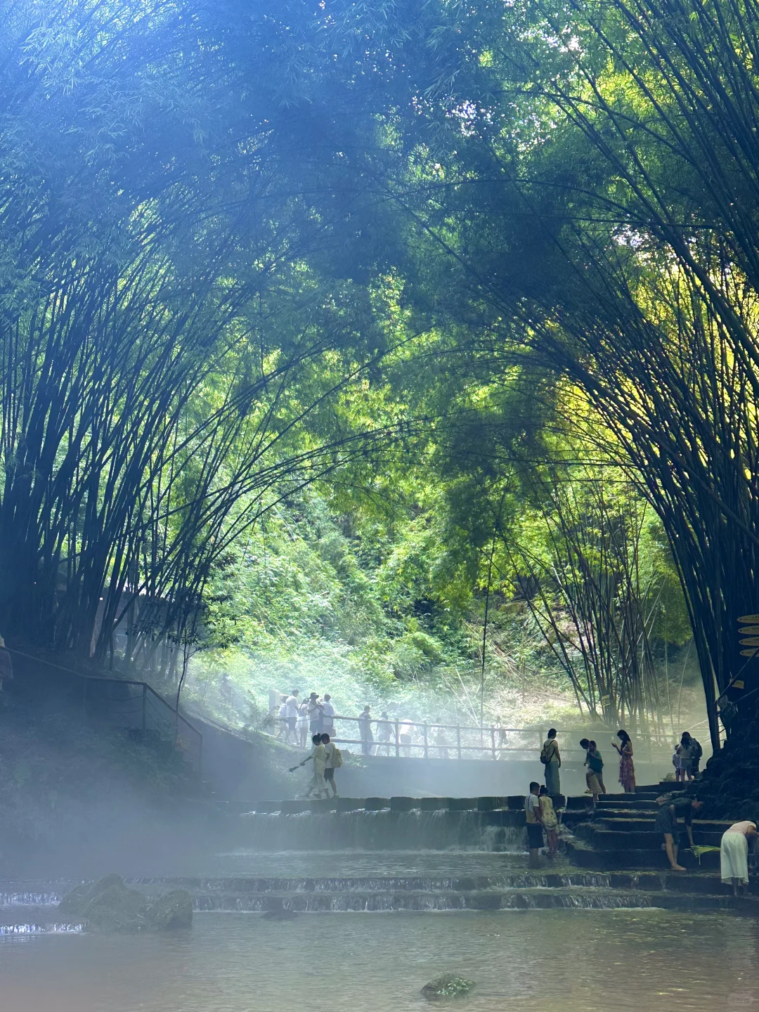 💨成都1h，带狗撒欢玩水的竹海秘境！