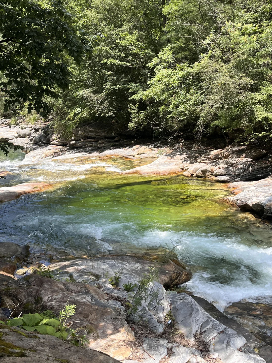 秦岭深处的夏日童话|大箭沟