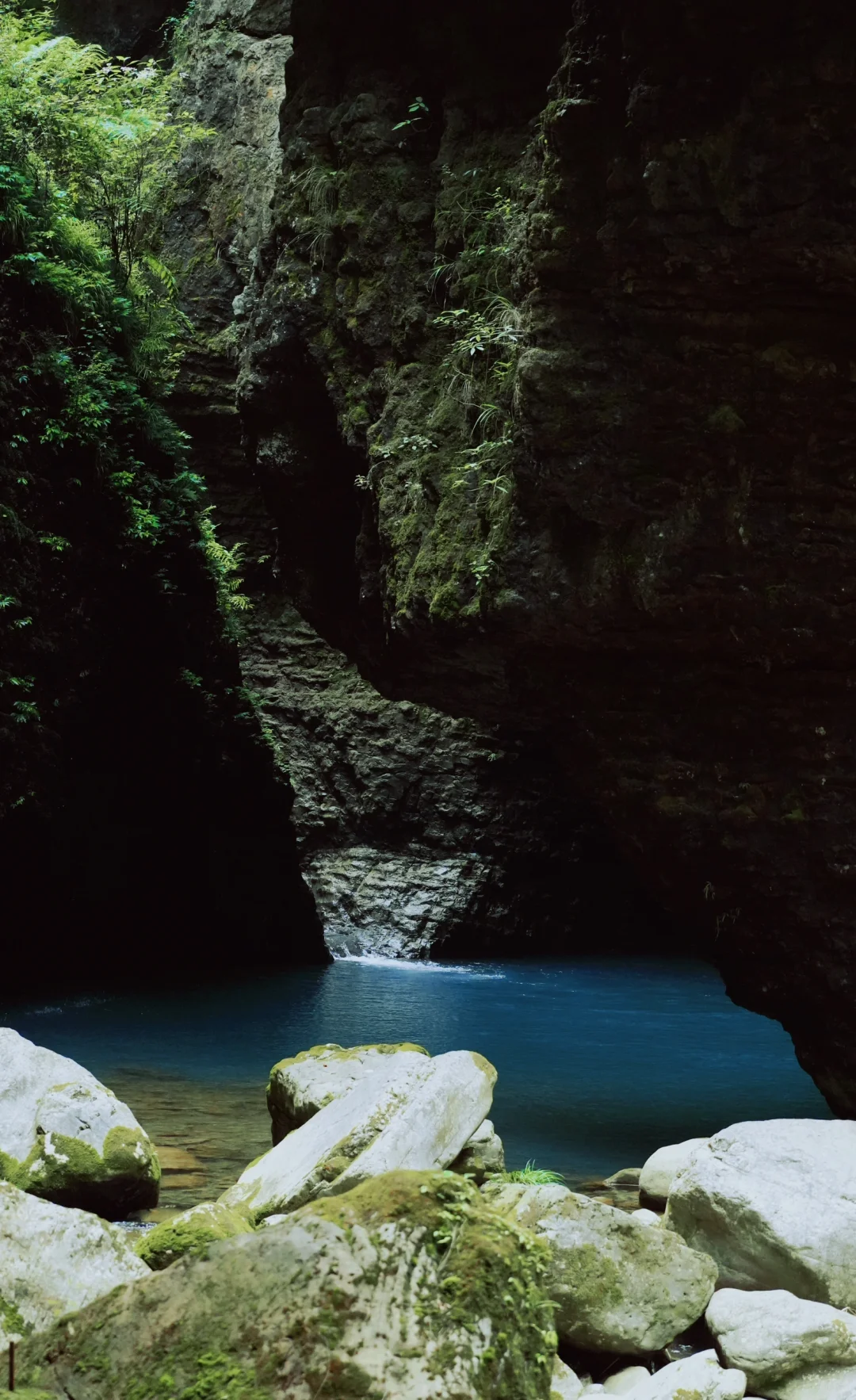 恩施很美,但是我不会再去了🫠