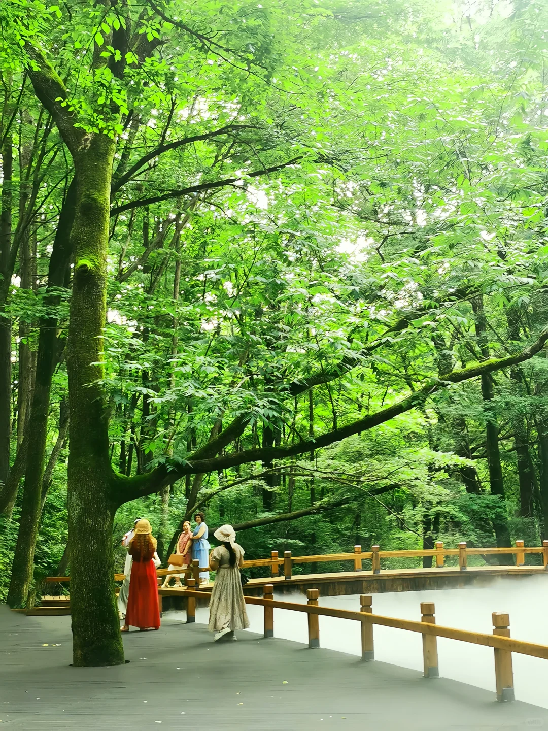 龙湾群景区旅游指南｜听劝‼️避暑胜地必冲