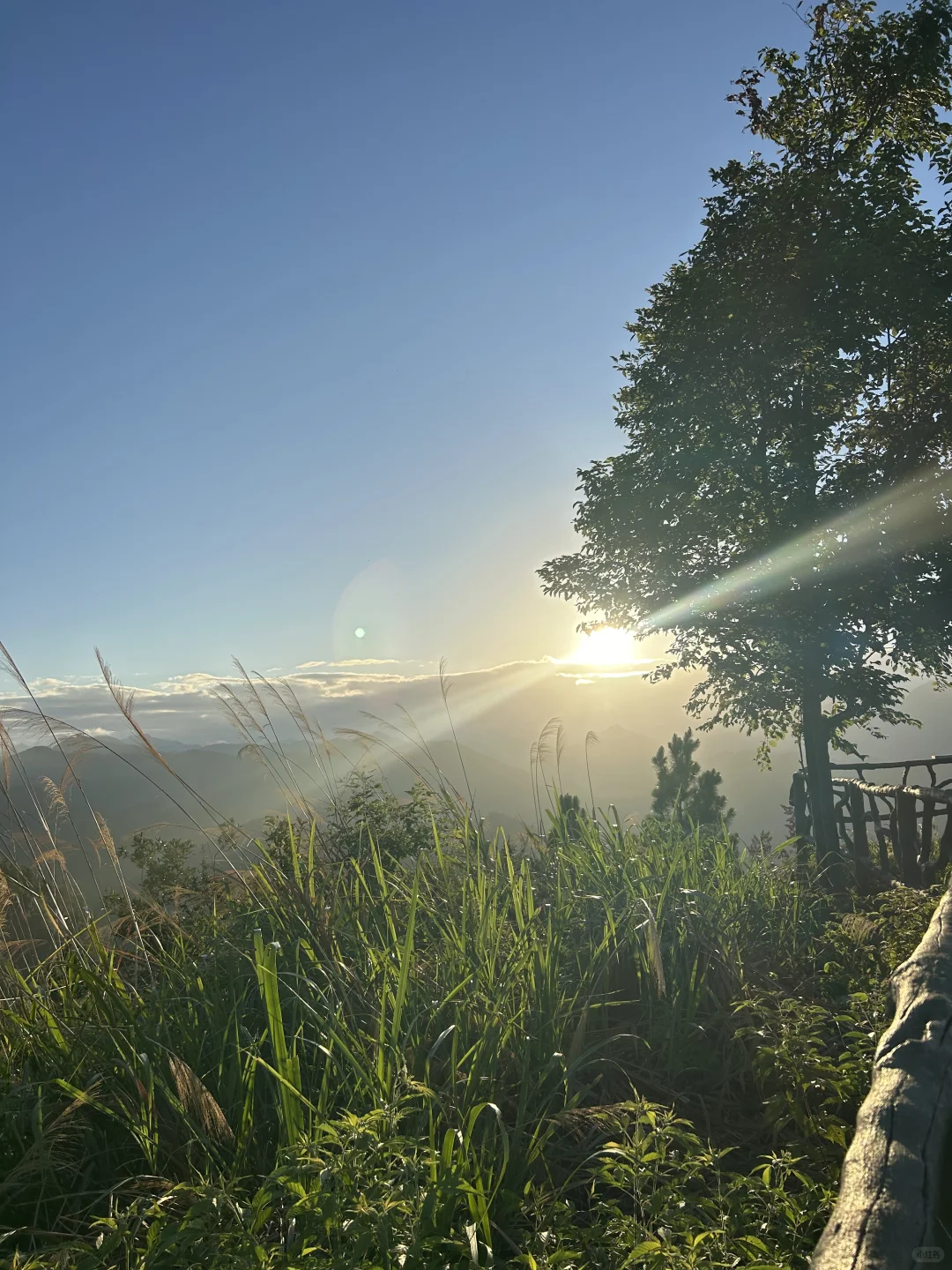 顶峰的风景远超你的想象⛰️