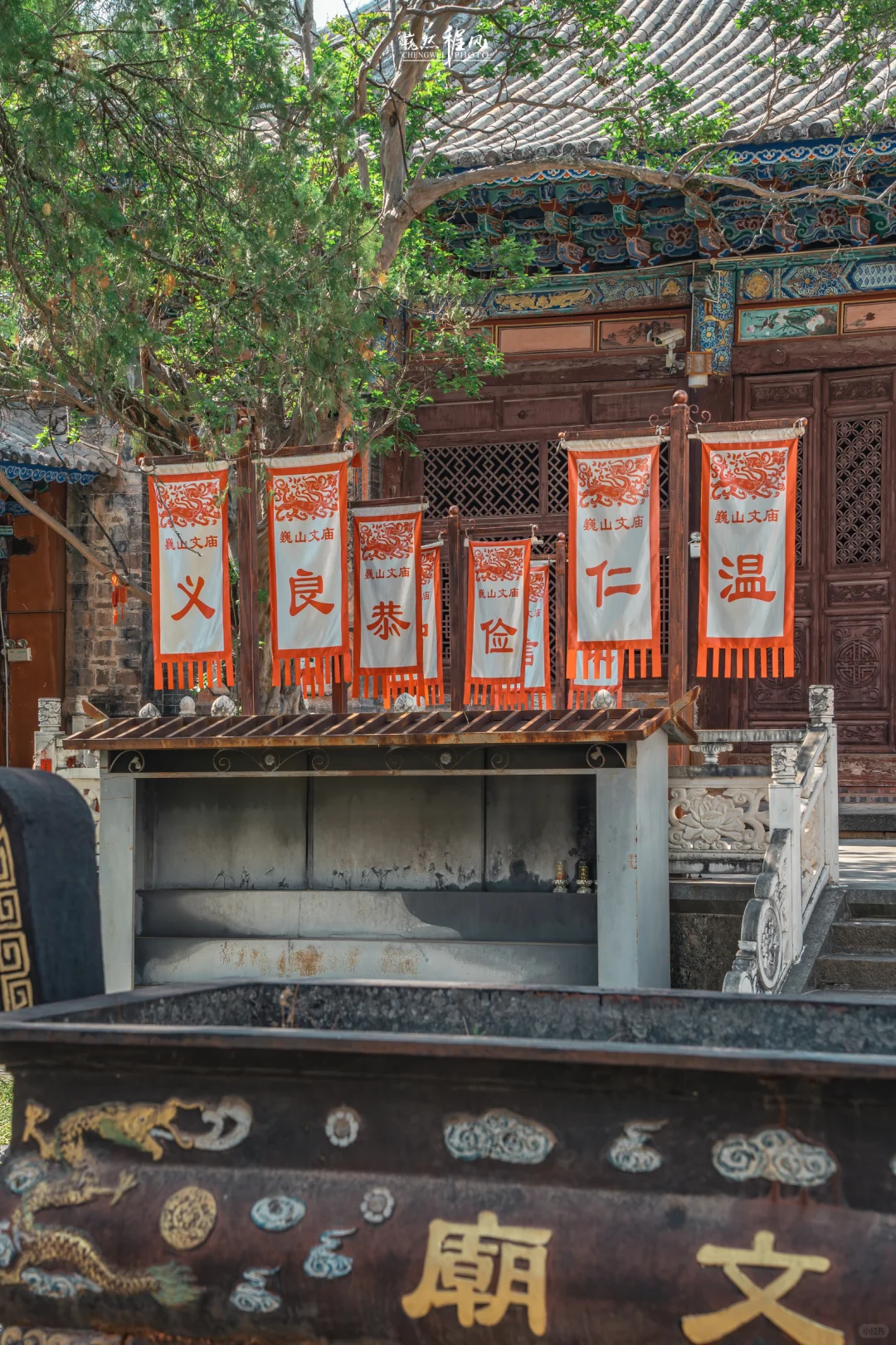 巍山古城 | 蓝花楹盛开下的百年文庙