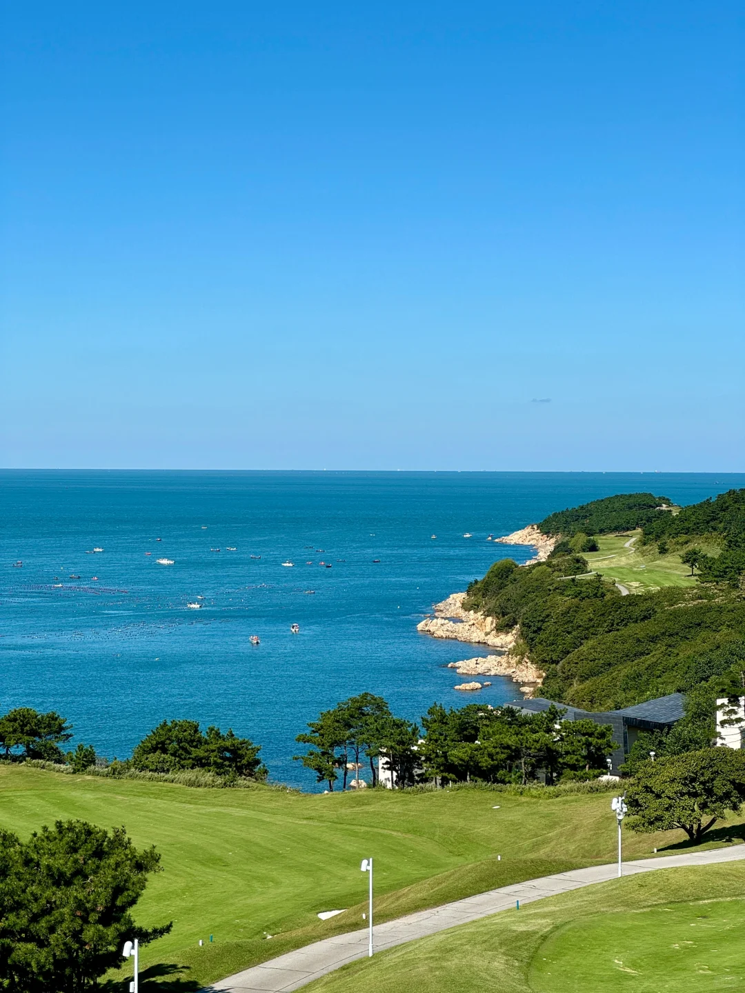 威海的后劲儿太大了