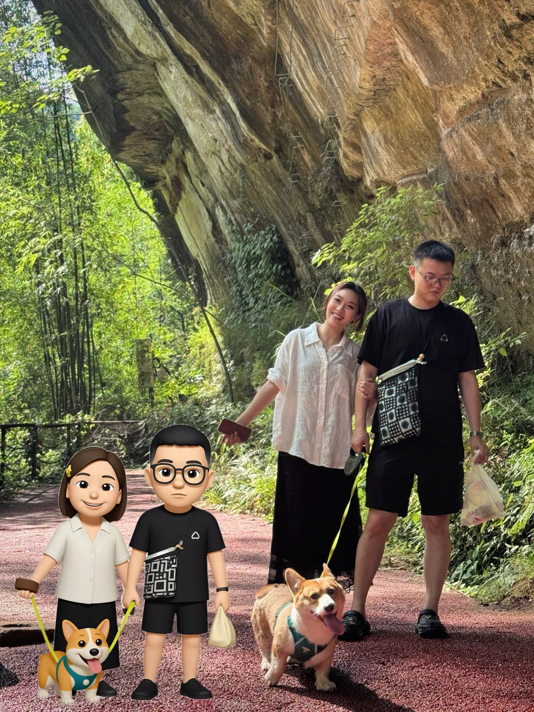 💨成都1h，带狗撒欢玩水的竹海秘境！