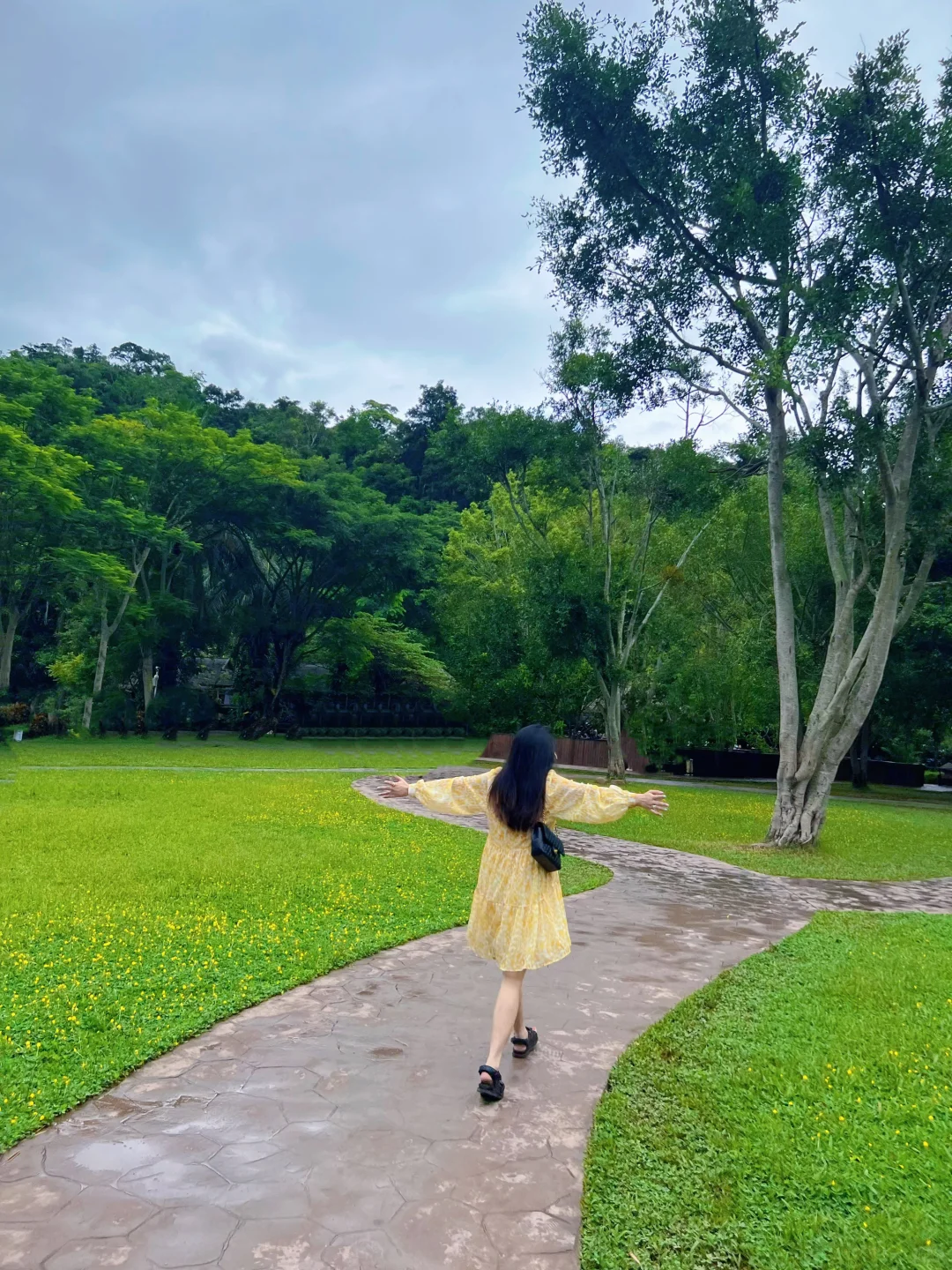 🐘西双版纳野象谷 | 看这一篇就够啦