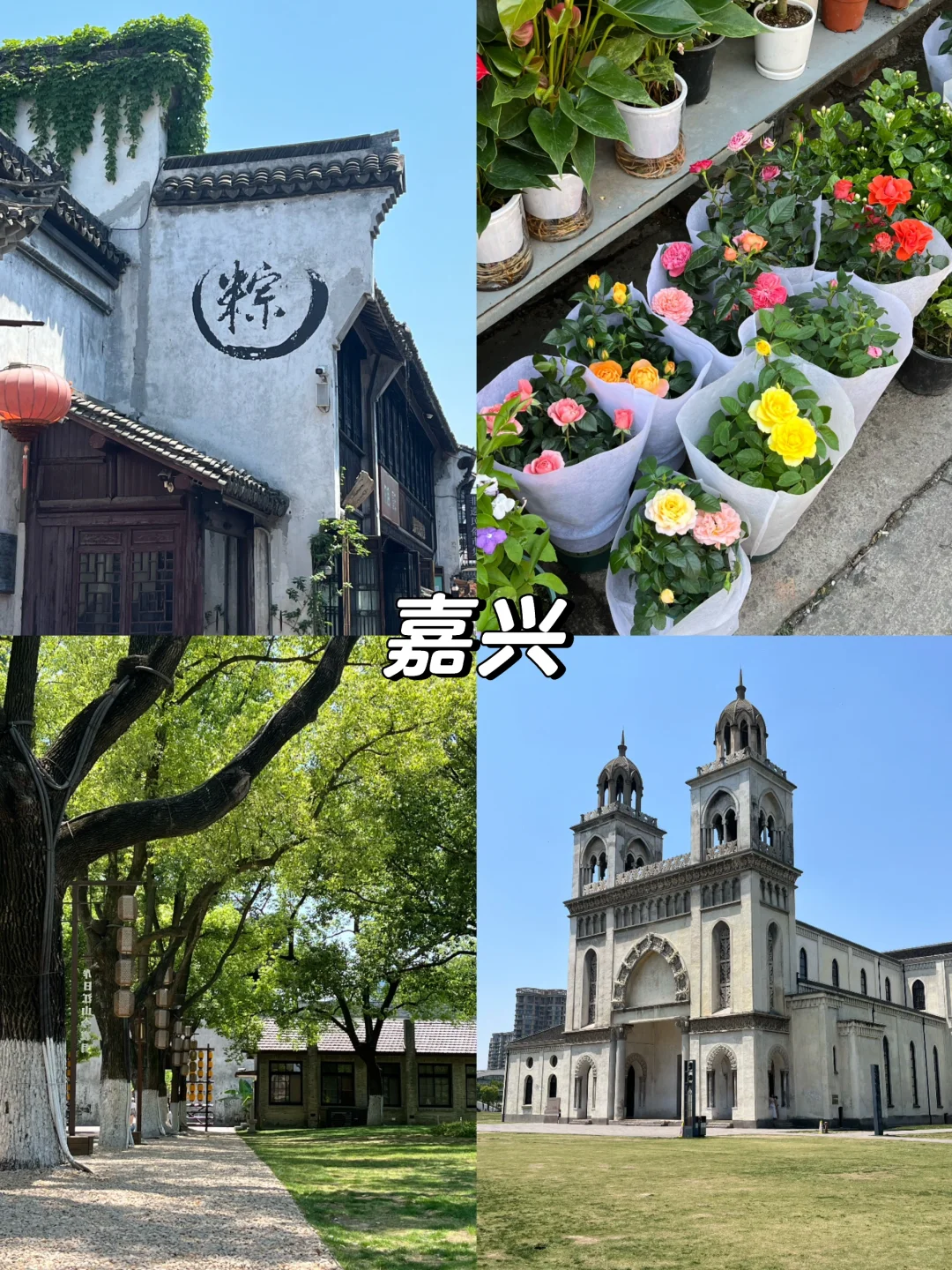 人均💰500｜🍃暑期旅游这些地方我会刷N次！