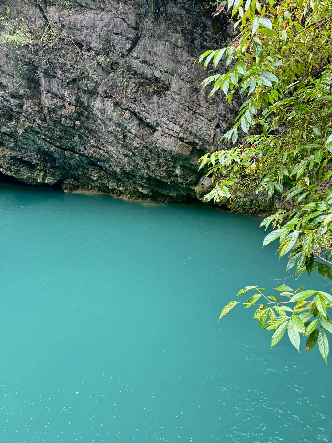 荔波小七孔live🍃人间绿宝石名不虚传