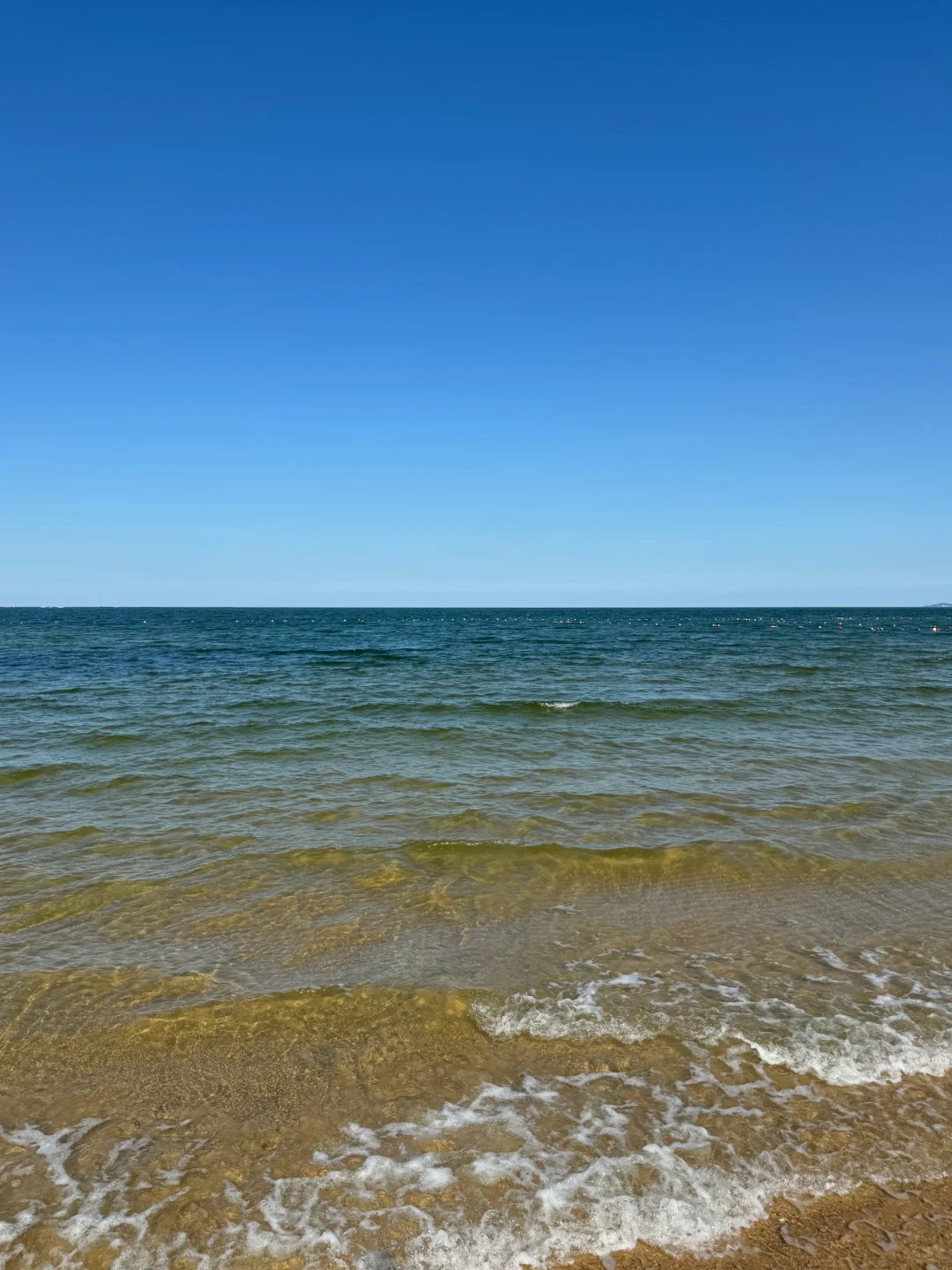 威海的后劲儿太大了