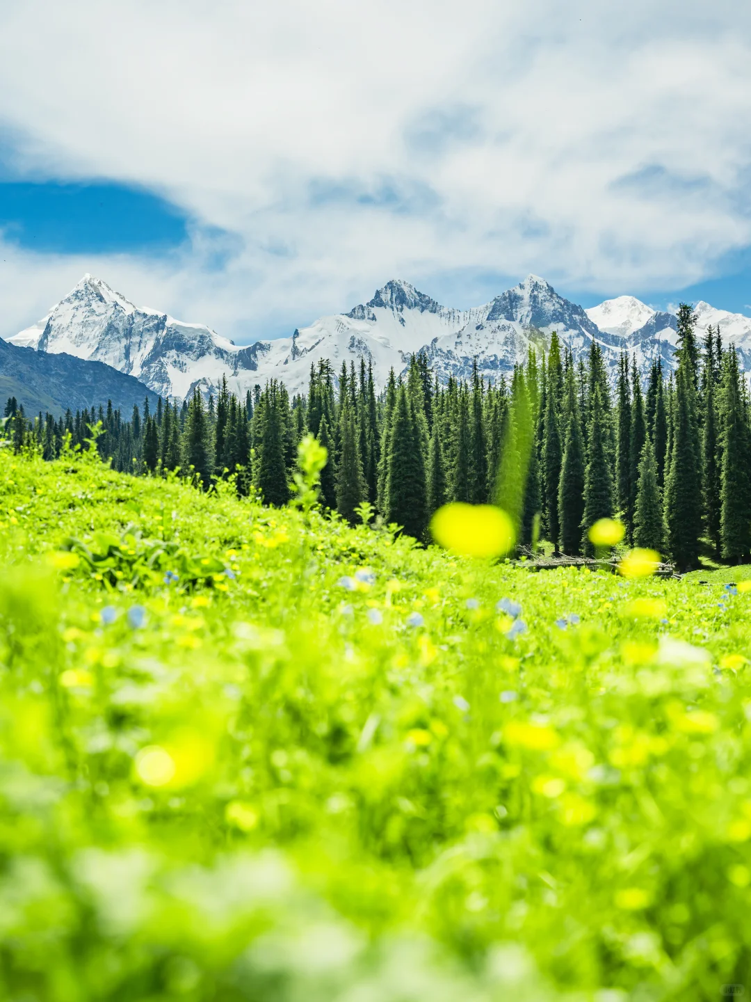 很多人喜欢的新疆组图🍃详细旅行攻略来了