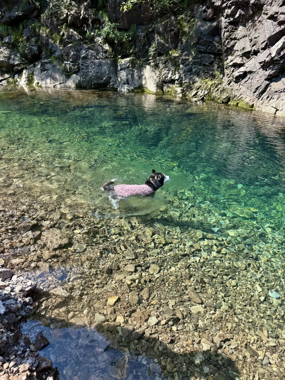 根本无法拒绝这么清透的玻璃水🥰