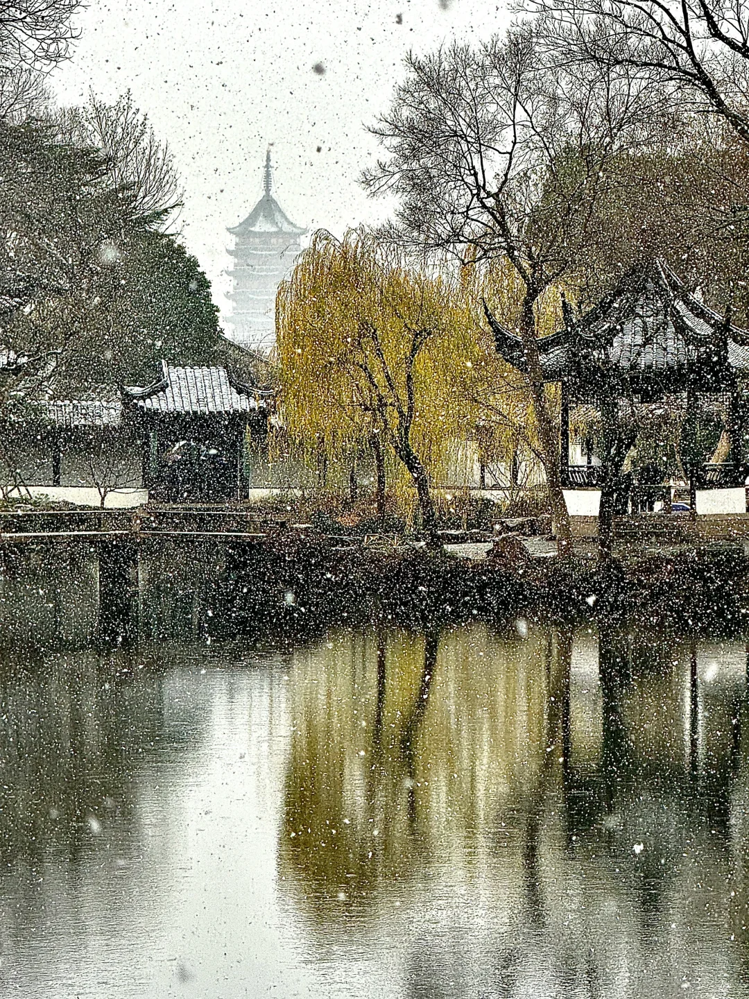 welcome to China|拙政园的封神Live