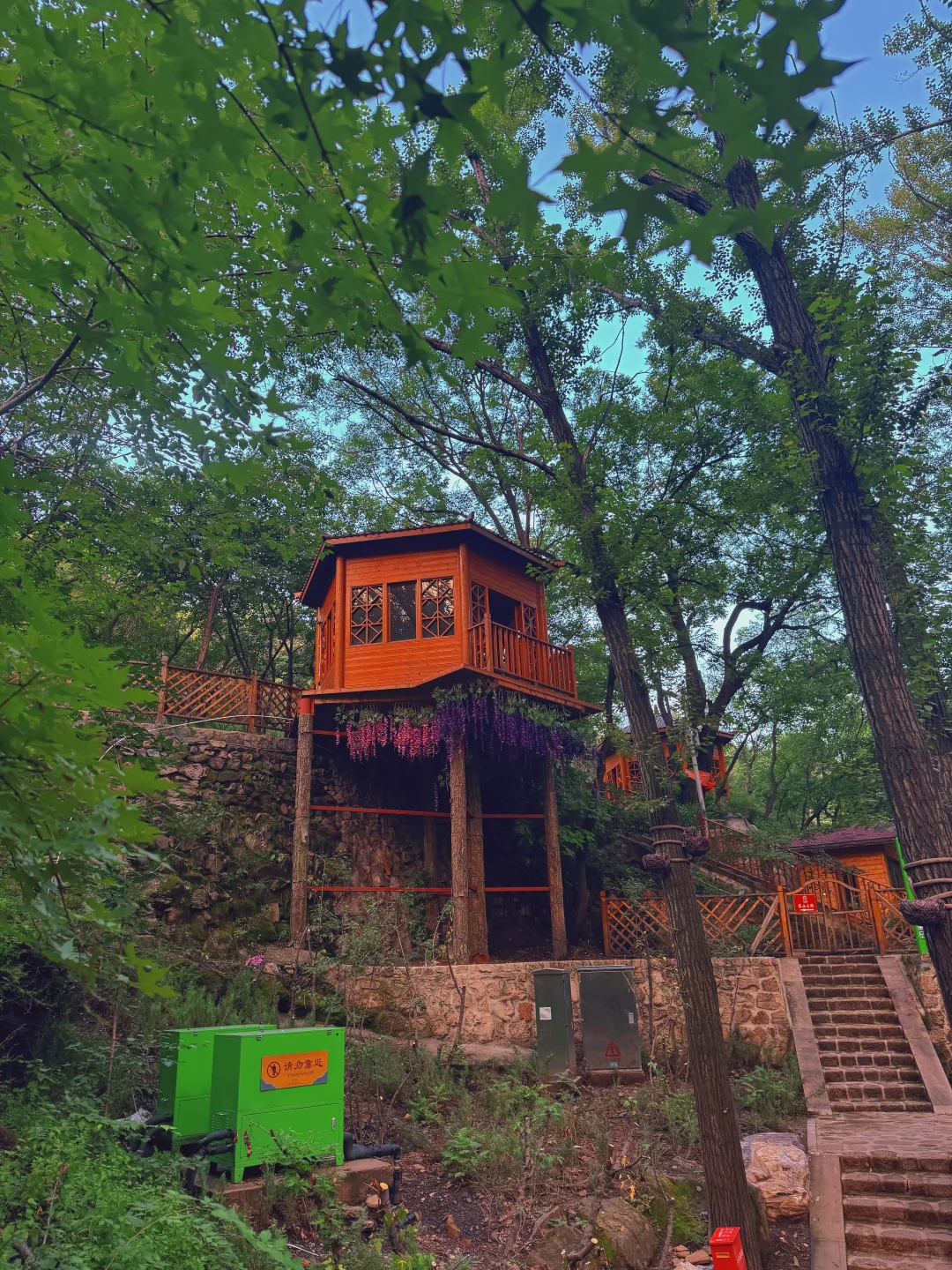 这么热的天，夜游蒙山避暑圣地，遛娃玩水绝啦