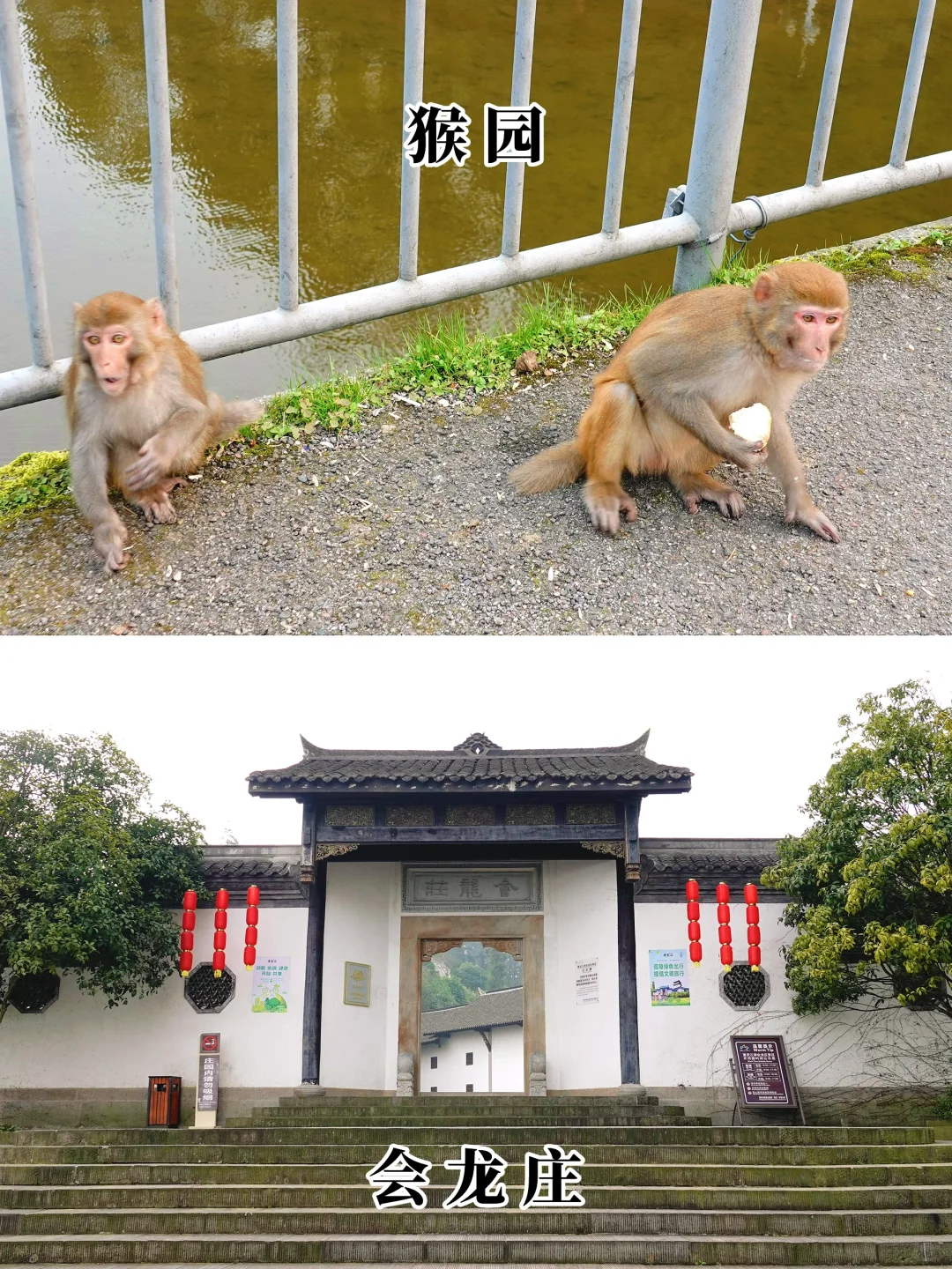 四面山小景区全测评