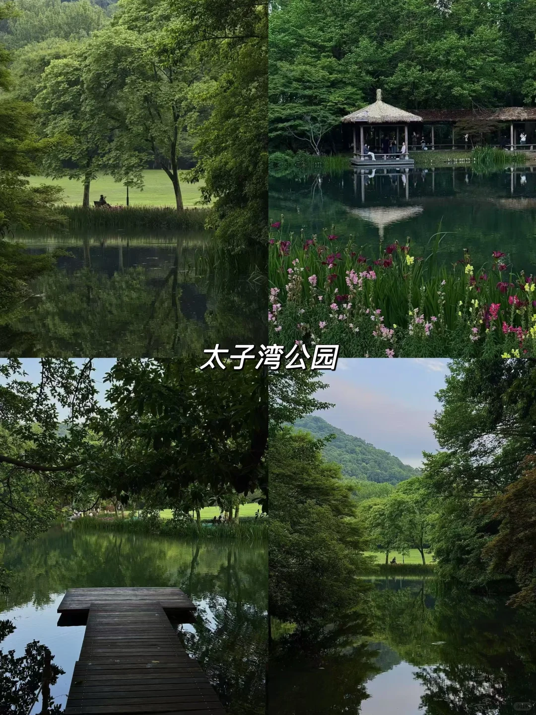 暑假来杭州一定不要错过这几个景点（附攻略）