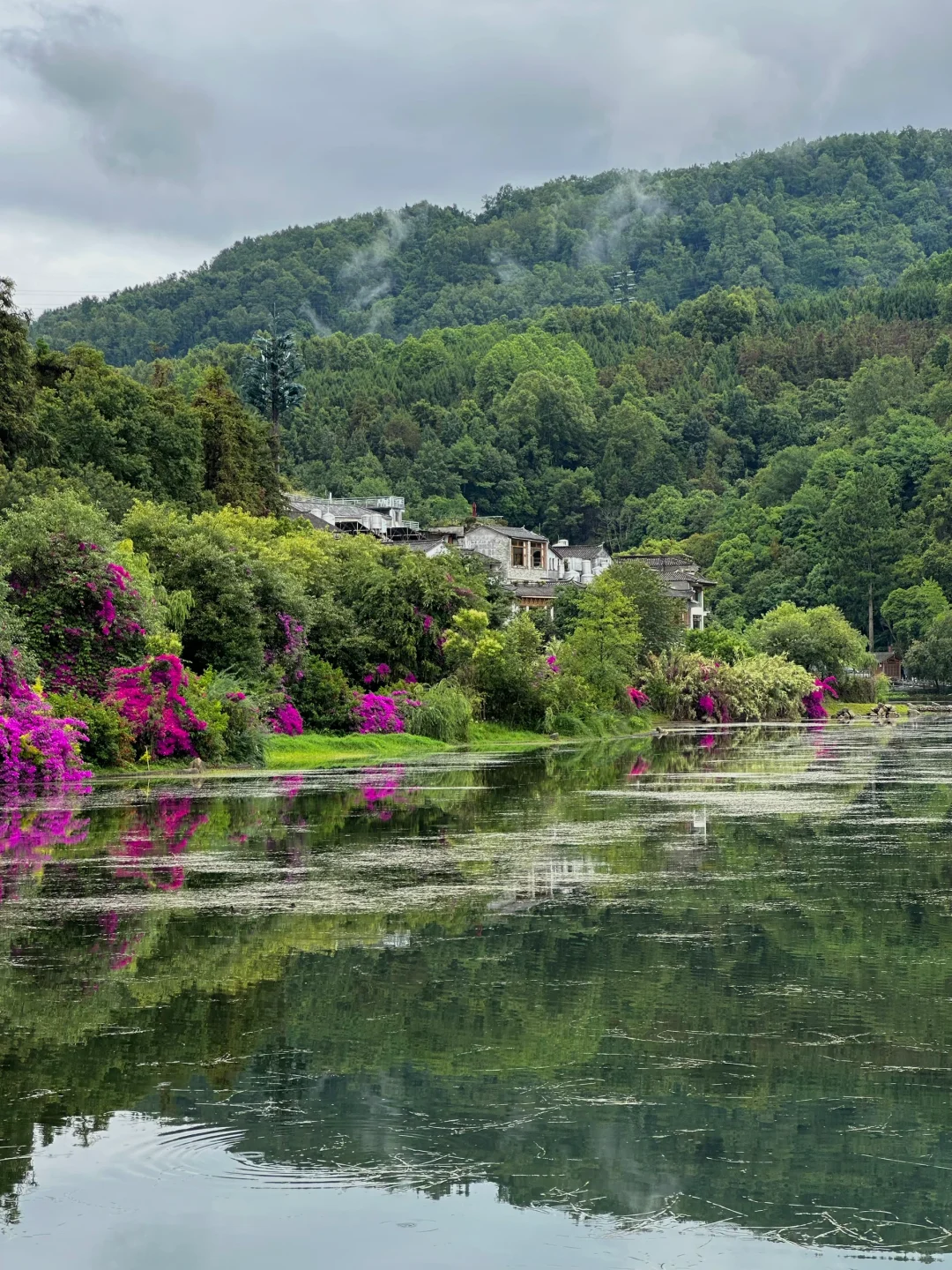 这么久了，还是觉得腾冲和顺古镇无法超越🍃