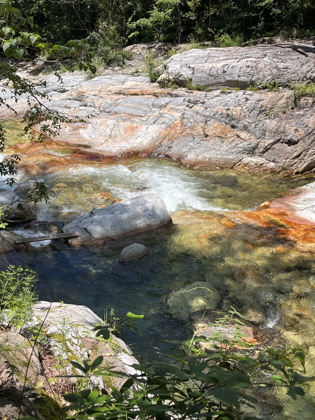 秦岭深处的夏日童话|大箭沟