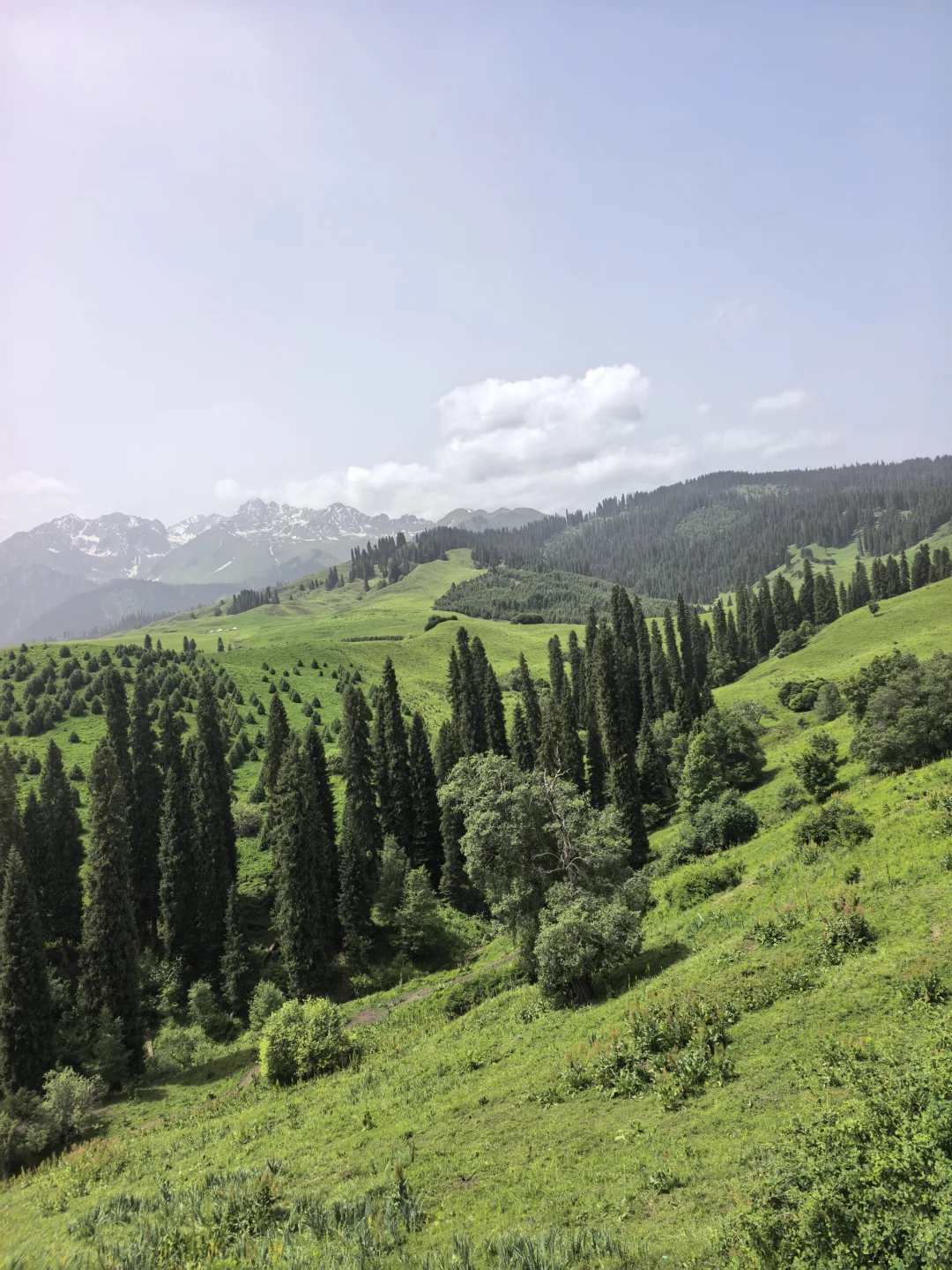 🚗新疆北疆环线10天自驾攻略 |阿勒泰-伊犁