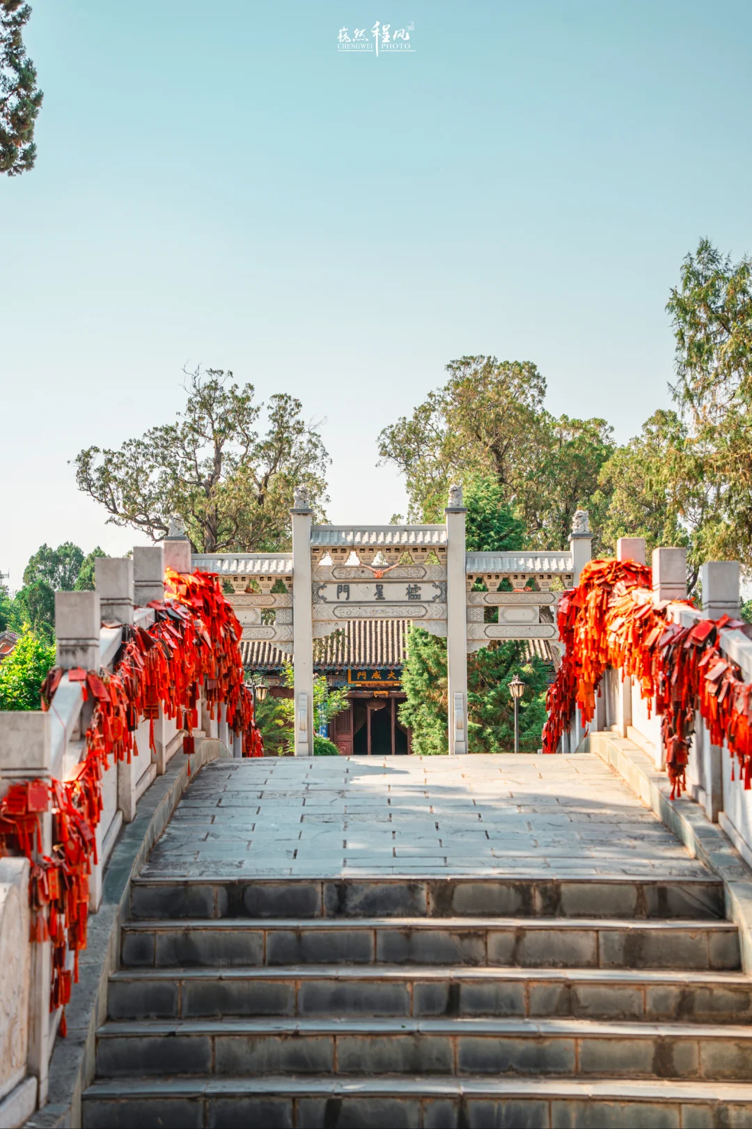 巍山古城 | 蓝花楹盛开下的百年文庙