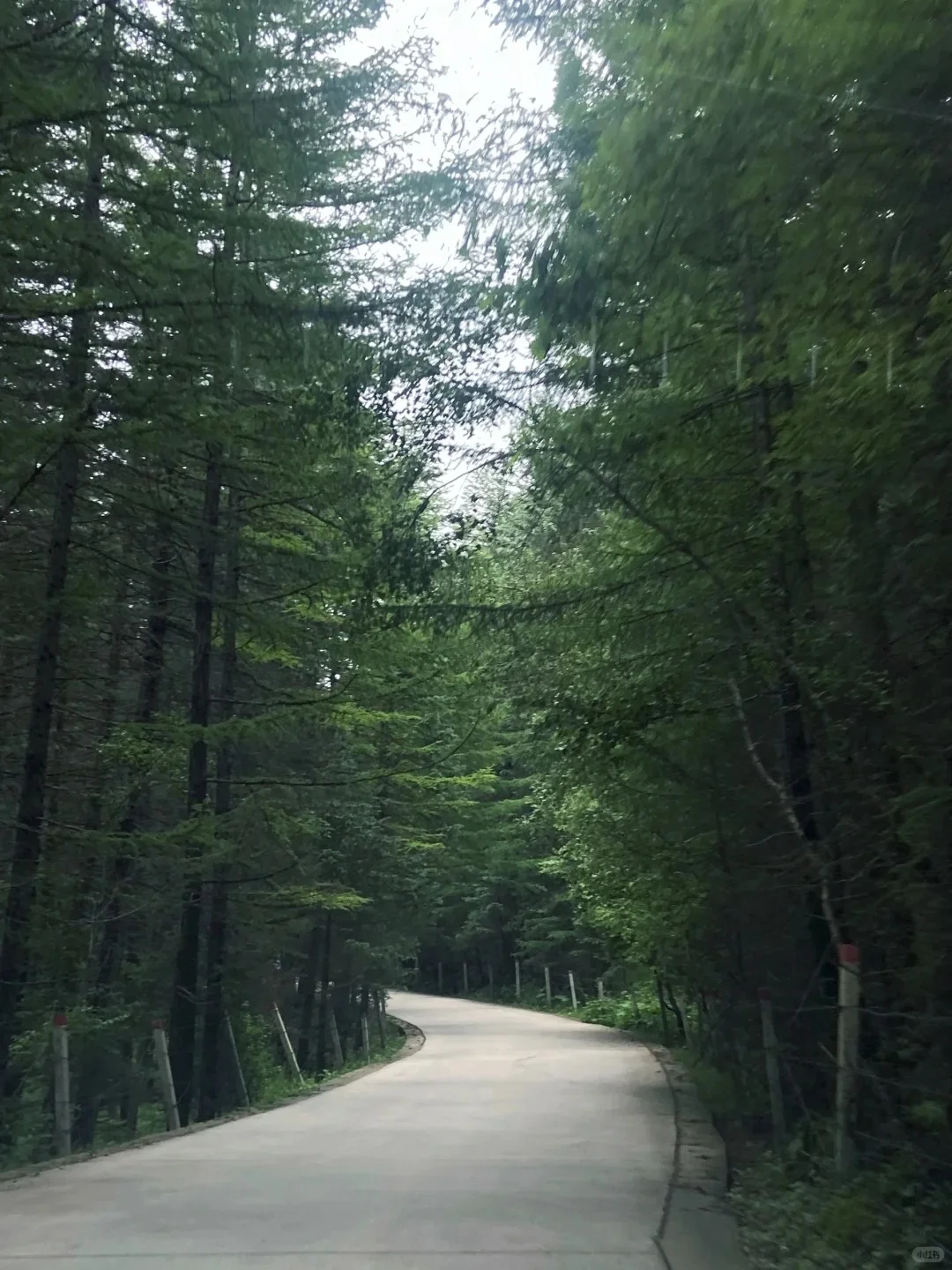 夏天的山西，是一个巨大的空调房