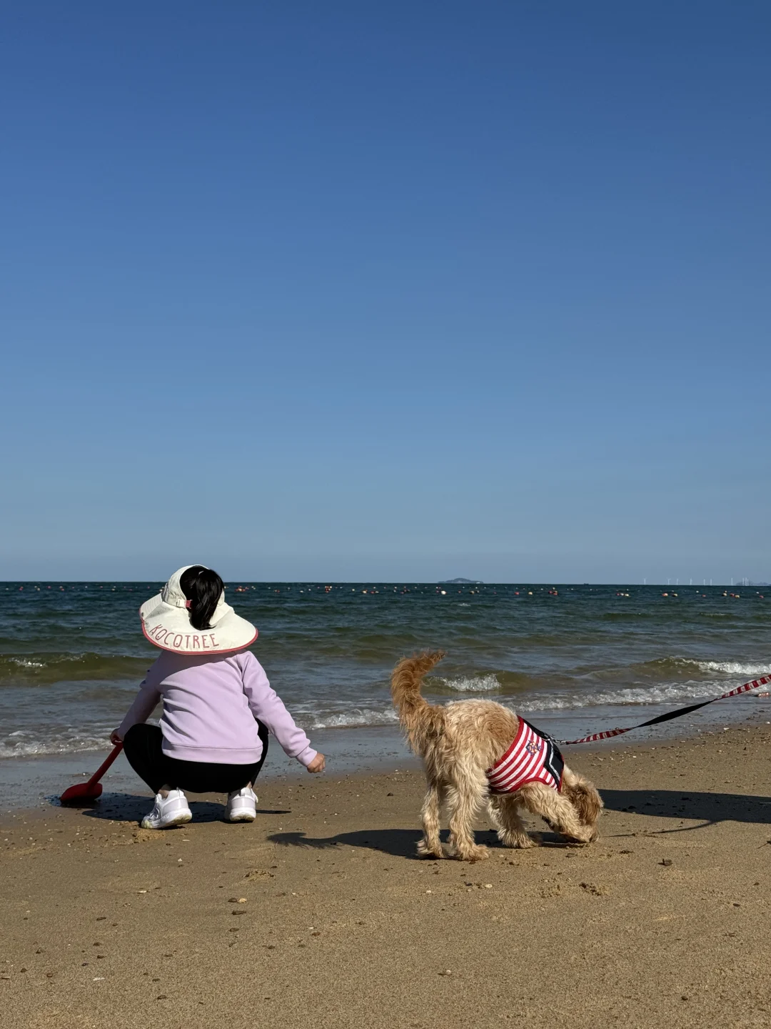 威海的后劲儿太大了