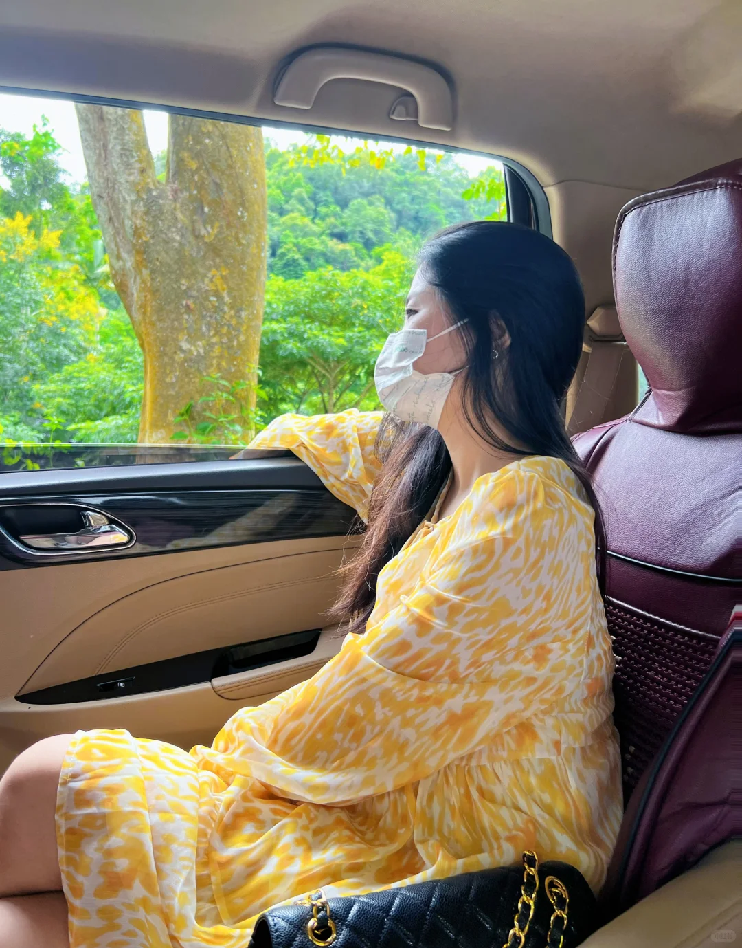 🐘西双版纳野象谷 | 看这一篇就够啦